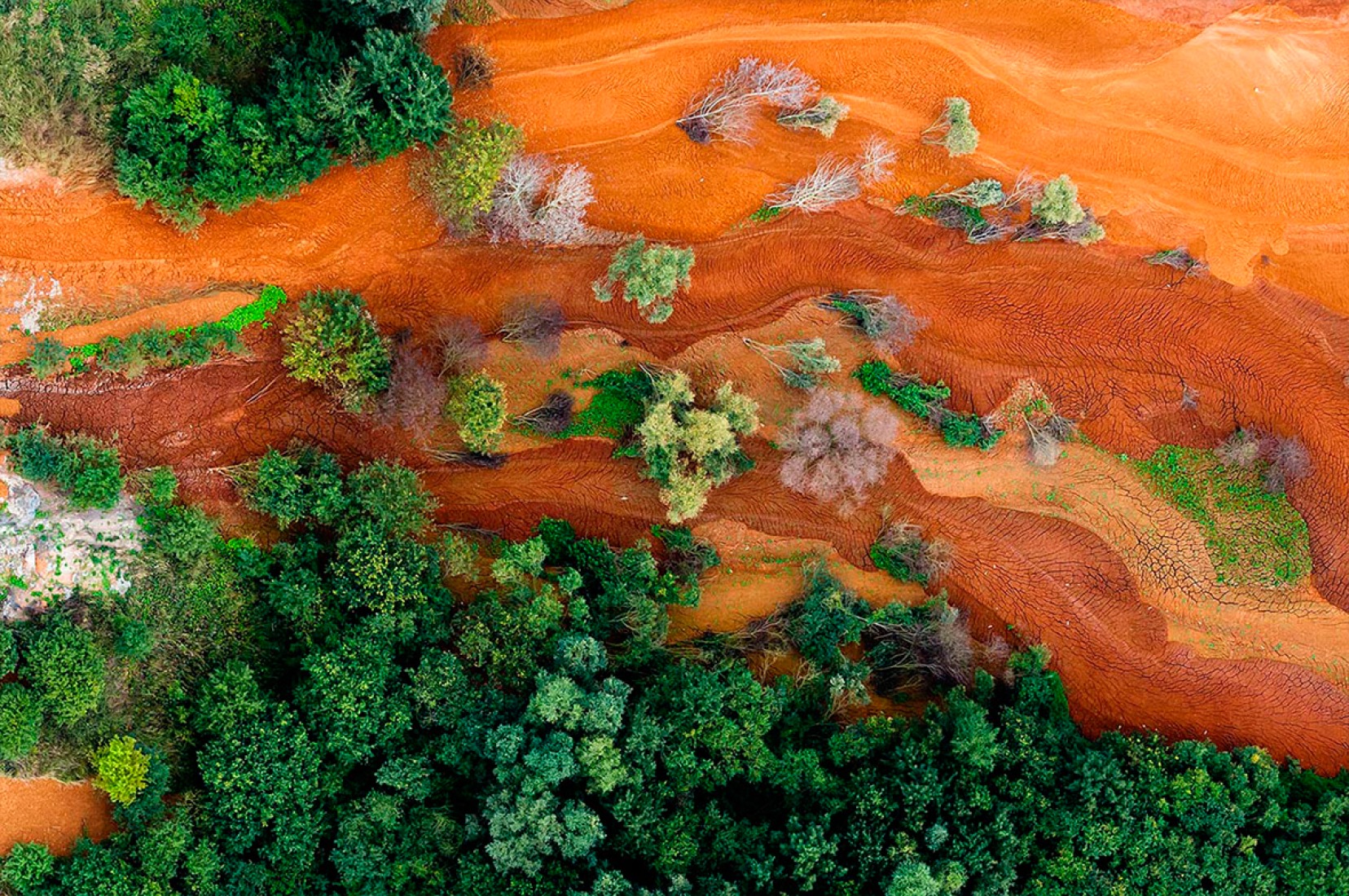 Belleza tóxica. Police, Polonia. La Planta Química de POLICE es un importante productor de fertilizantes minerales multicomponentes, ácidos y amoníaco, y es uno de los mayores exportadores de Polonia. Las vistas desde el aire revelan un impacto de la industria sobre el medio ambiente que es difícil de ver desde el suelo, como las sanguijuelas efluentes en el paisaje polaco: ceniza de carbón (el residuo que queda después de quemar el carbón, que contiene metales pesados tóxicos. Fotografía © Kacper Kowalski