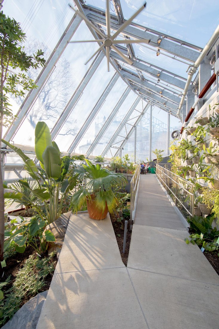 Vista del bioma húmedo y la membrana del techo de ETFE. Invernadero Global de Flora por Kennedy & Violich Architecture. Fotografía por KVA 
