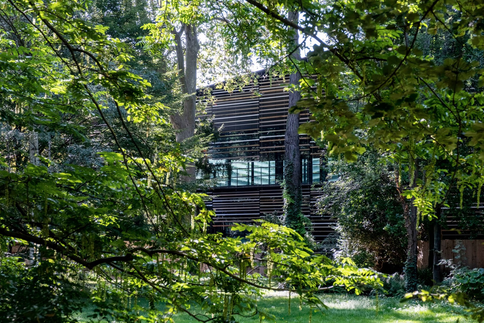 Albert-Kahn departmental museum by Kengo Kuma. Photograph by Julia Brechler.