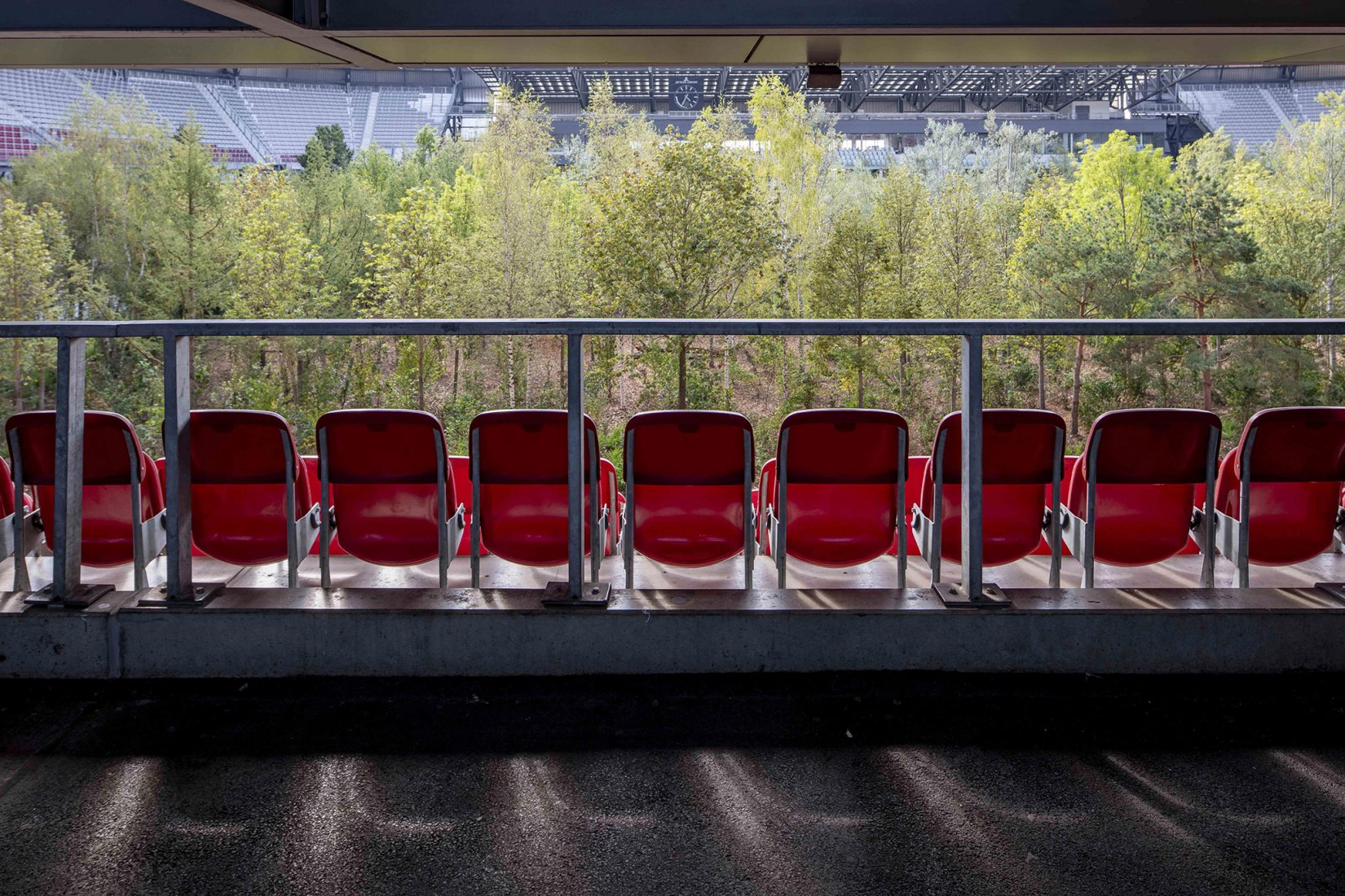 Vista del interior desde las gradas. Klaus Littmann „FOR FOREST - La atracción interminable de la naturaleza“, Intervención de arte 2019, Estadio Wörthersee Klagenfurt | Austria. Fotografía por Gerhard Maurer