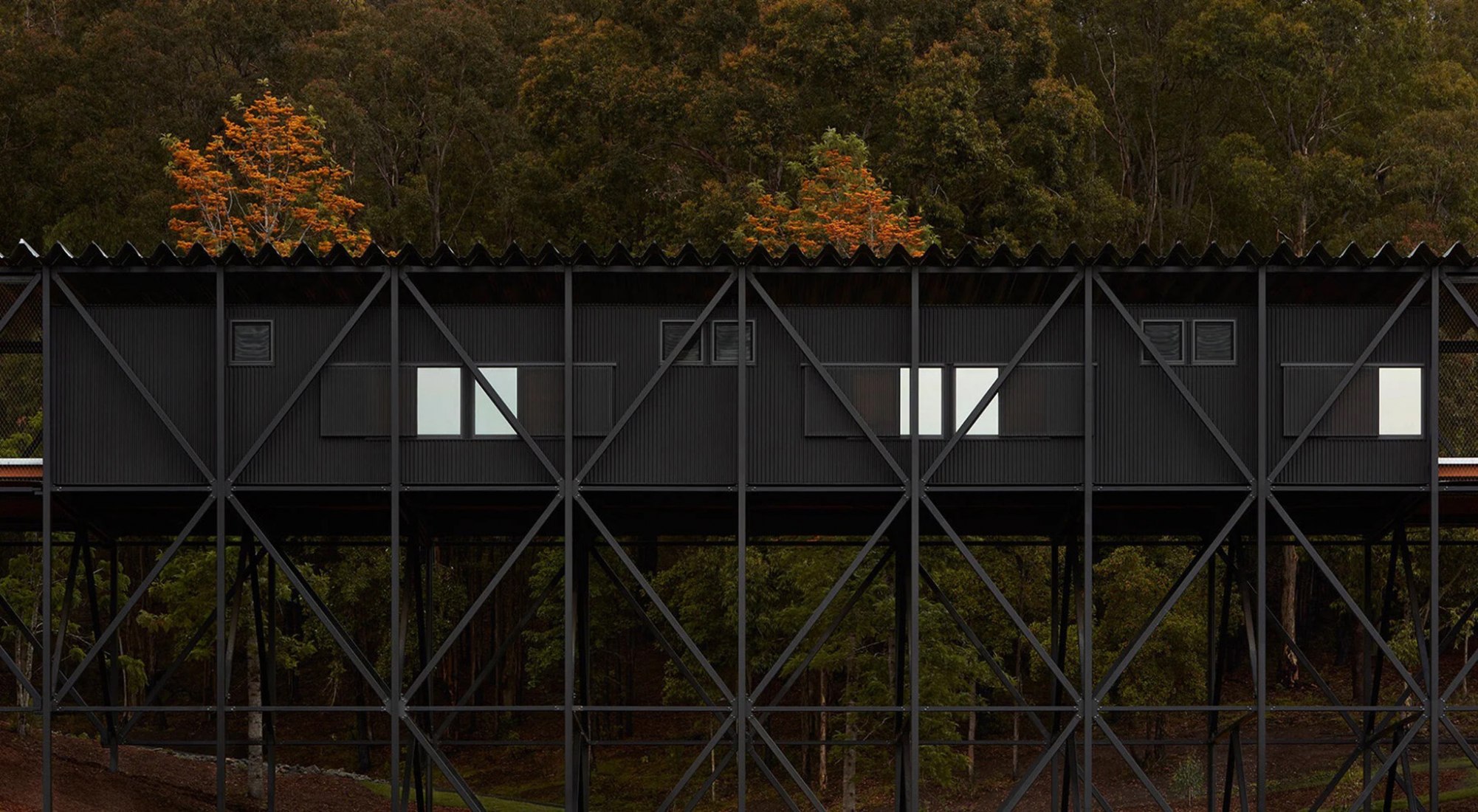 Bundanon Art Museum by Kerstin Thompson Architects (KTA). Photograph by Zan Wimberley.