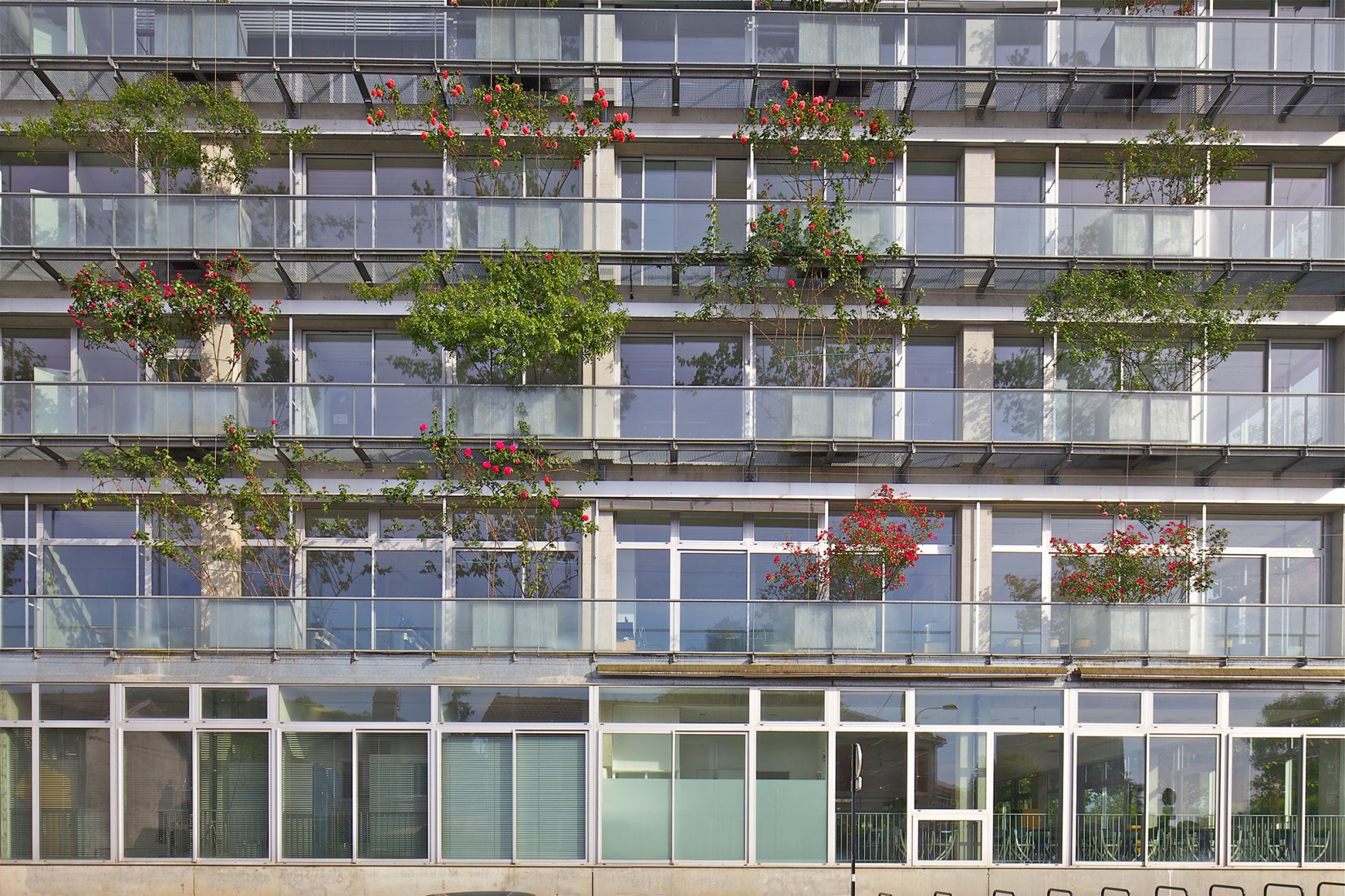 Faculty of Management Sciences. The ICO Museum presents "Lacaton & Vassal". Photograph by Lacaton & Vassal.