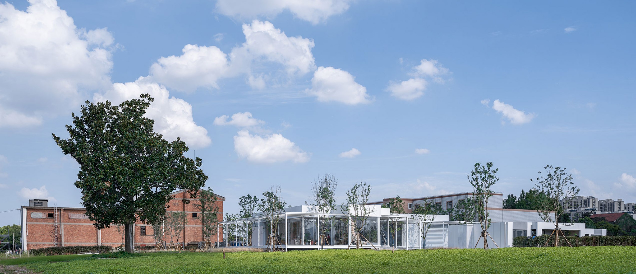 Free Spring Morning por Lacime Architects. Fotografía por SHANJIAN Photography Studio