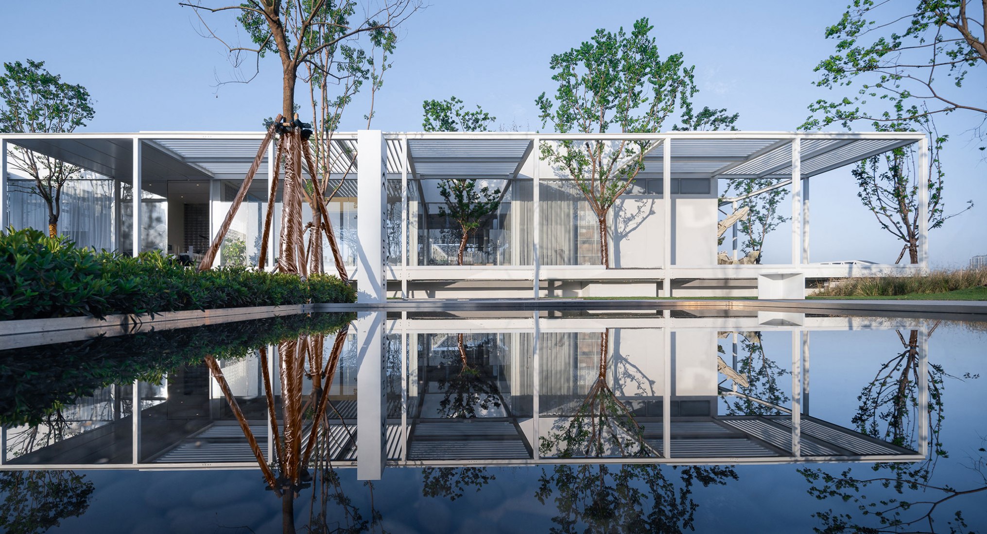 Free Spring Morning por Lacime Architects. Fotografía por SHANJIAN Photography Studio