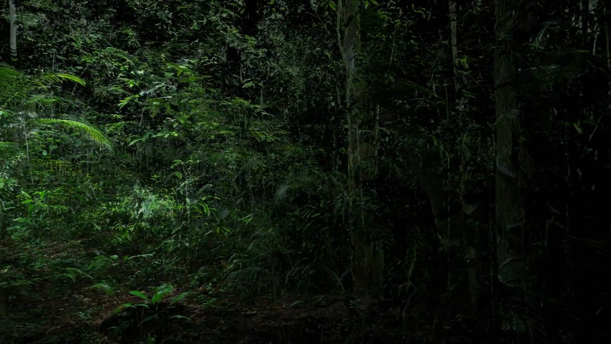 Screen shoot from Artificialis, 2020, Film HR, 27’33’’ by Laurent Grasso, Paris 2020. Image by Studio Laurent Grasso, courtesy Perrotin