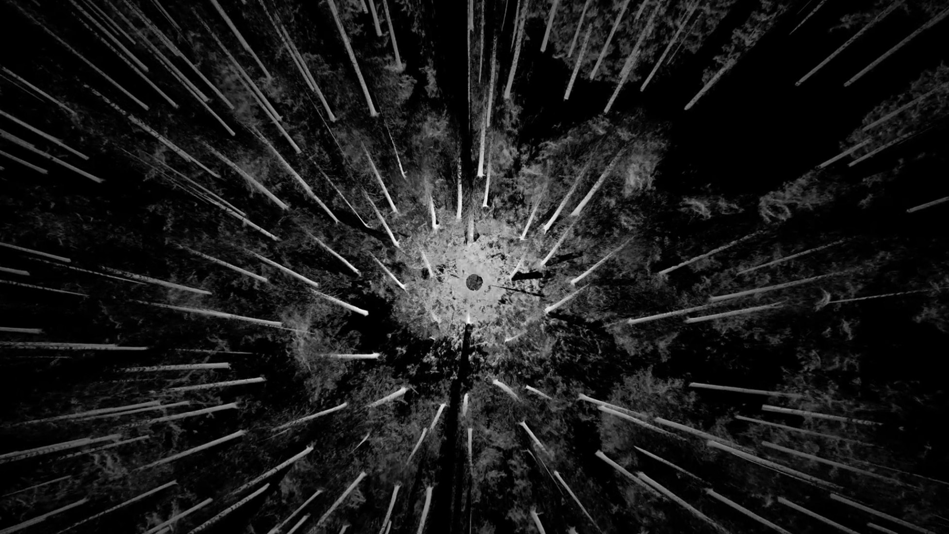 Screen shoot from Artificialis, 2020, Film HR, 27’33’’ by Laurent Grasso, Paris 2020. Image by Studio Laurent Grasso, courtesy Perrotin