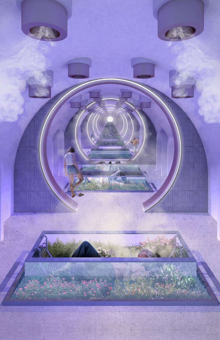Honorable mention. “Lavender lungs” by Ahad Almeida Sheikh.