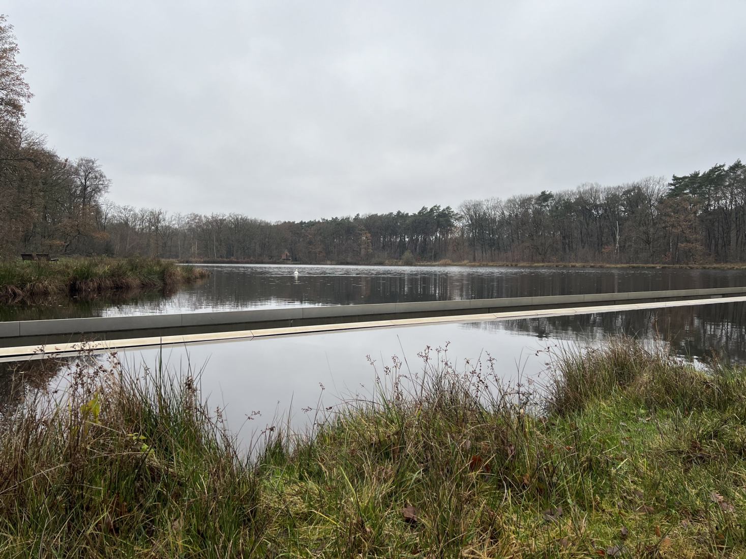 Bokrijk pond route by Lens°ass Architecten. Photograph by José Juan Barba