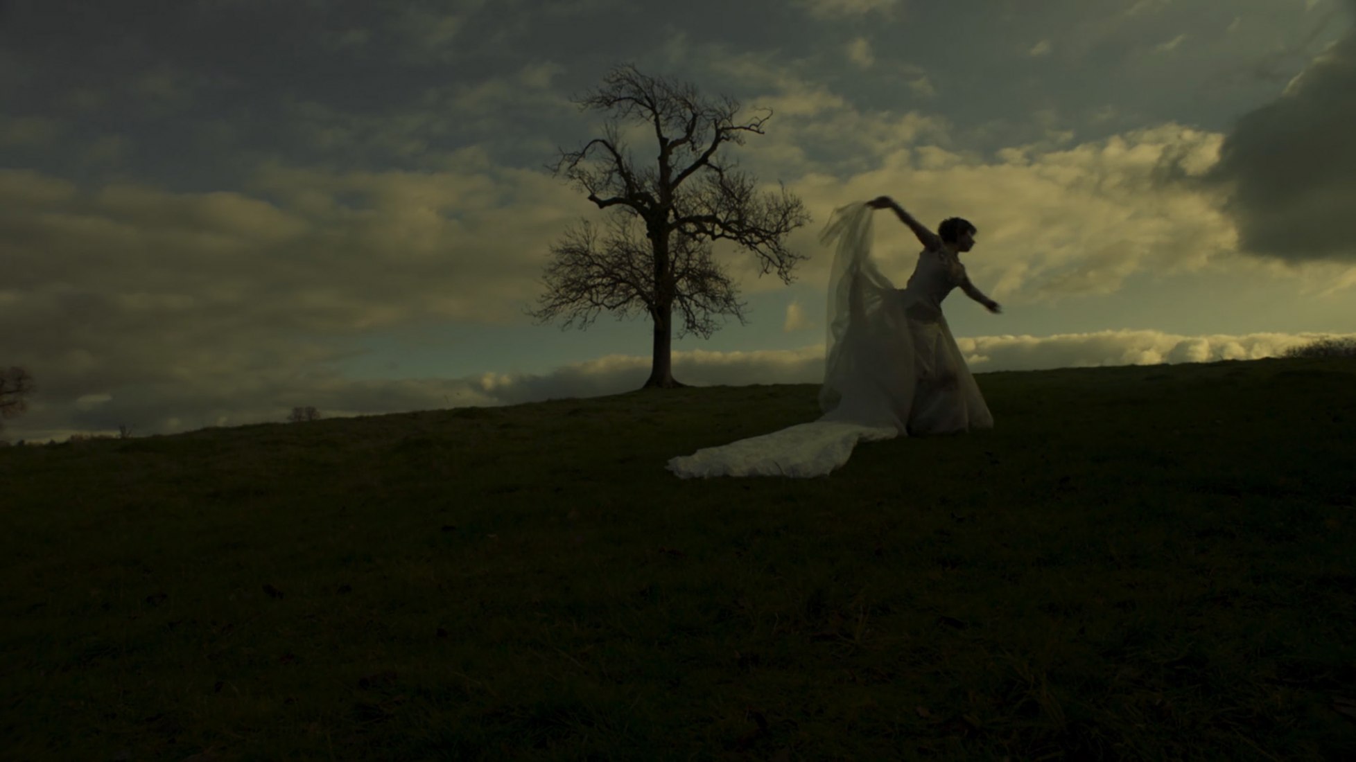 Thanks for the Dance por Leonard Cohen