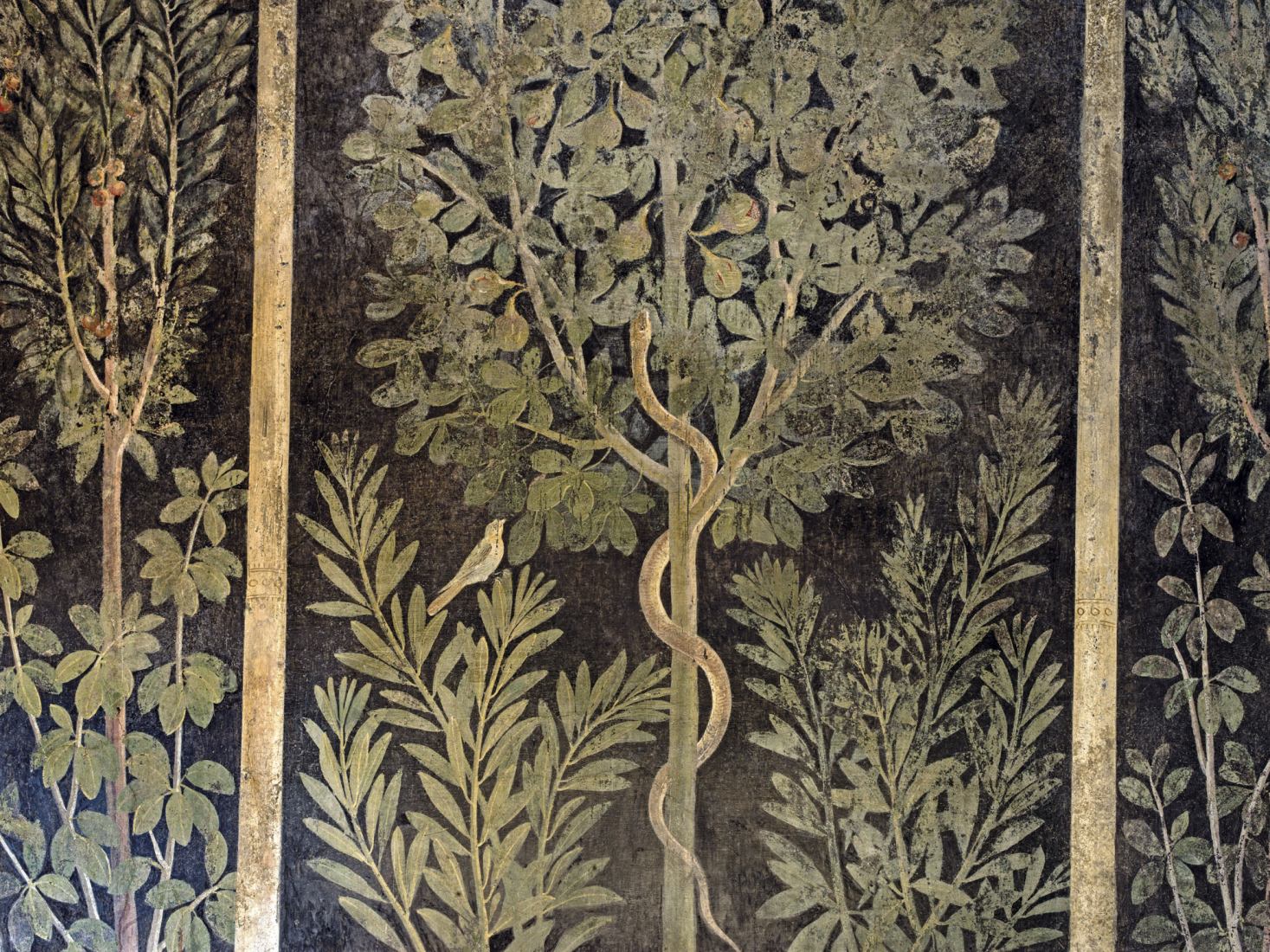 Casa del Frutteto I 9 5 7. Pompeii by Luigi Spina. Photography by Luigi Spina.