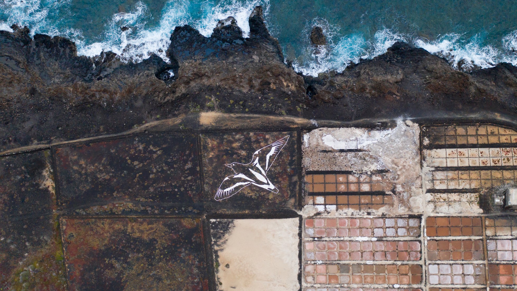 Salina de Los Cocoteros, Lanzarote. Salinas Project by Luna Bengoechea. Photograph by Donworry