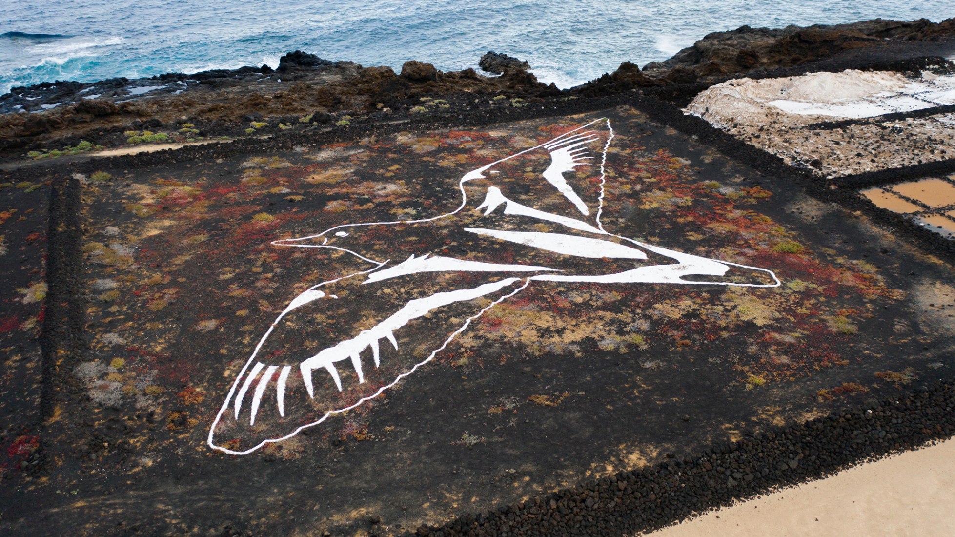 Salina de Los Cocoteros, Lanzarote. Salinas Project by Luna Bengoechea. Photograph by Donworry
