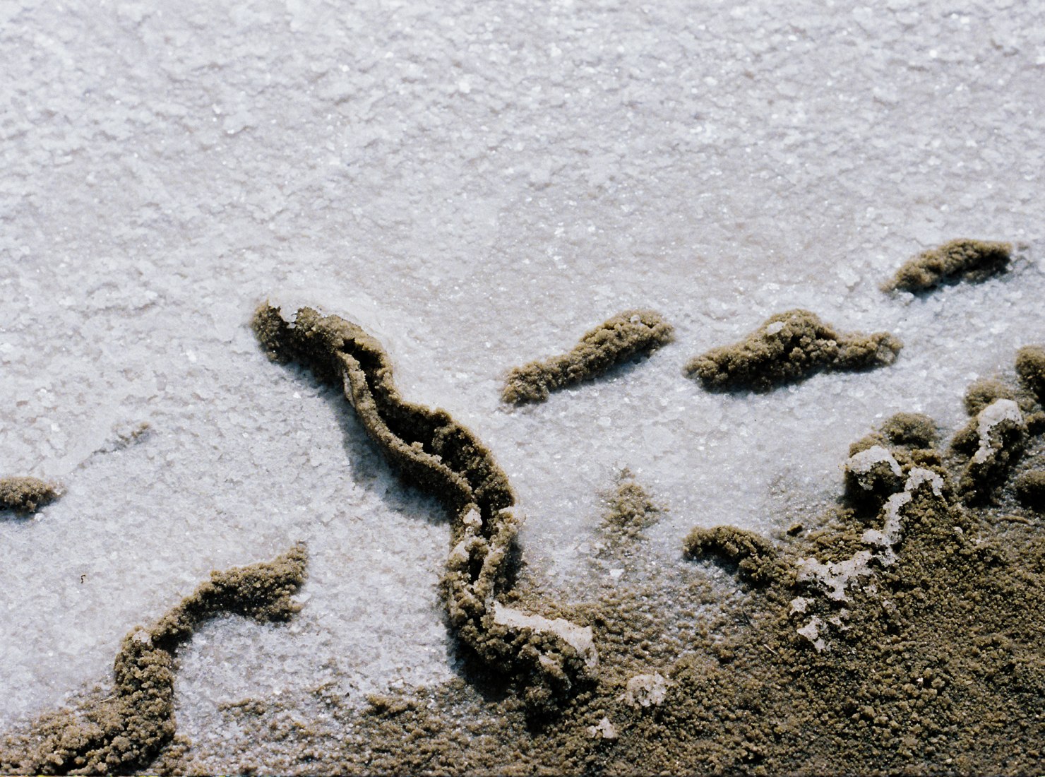 Salinas detail. Salinas Project by Luna Bengoechea. Photograph by Donworry
