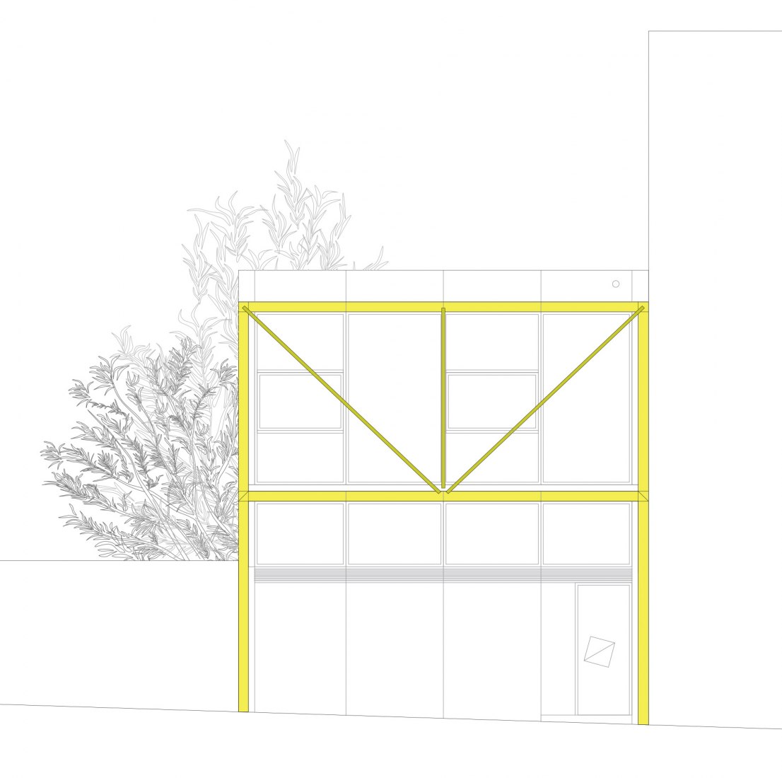 Elevation. Collumpio House by MACH. 