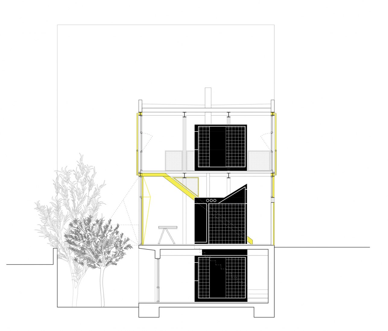 Section. Collumpio House by MACH. 