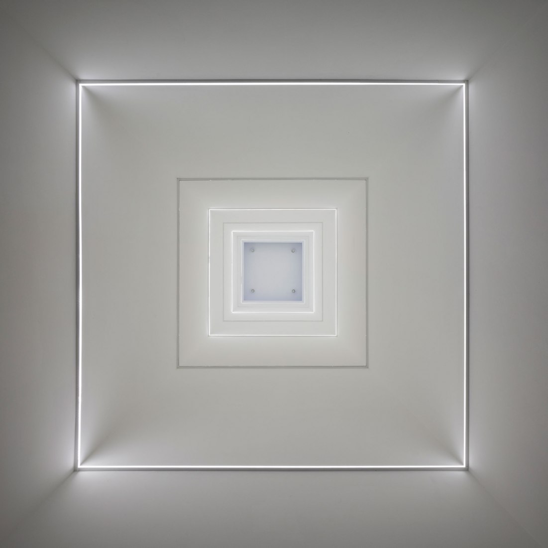 Museum of Freedom and Human Rights by Mallol Arquitectos. Photograph by Fernando Alda