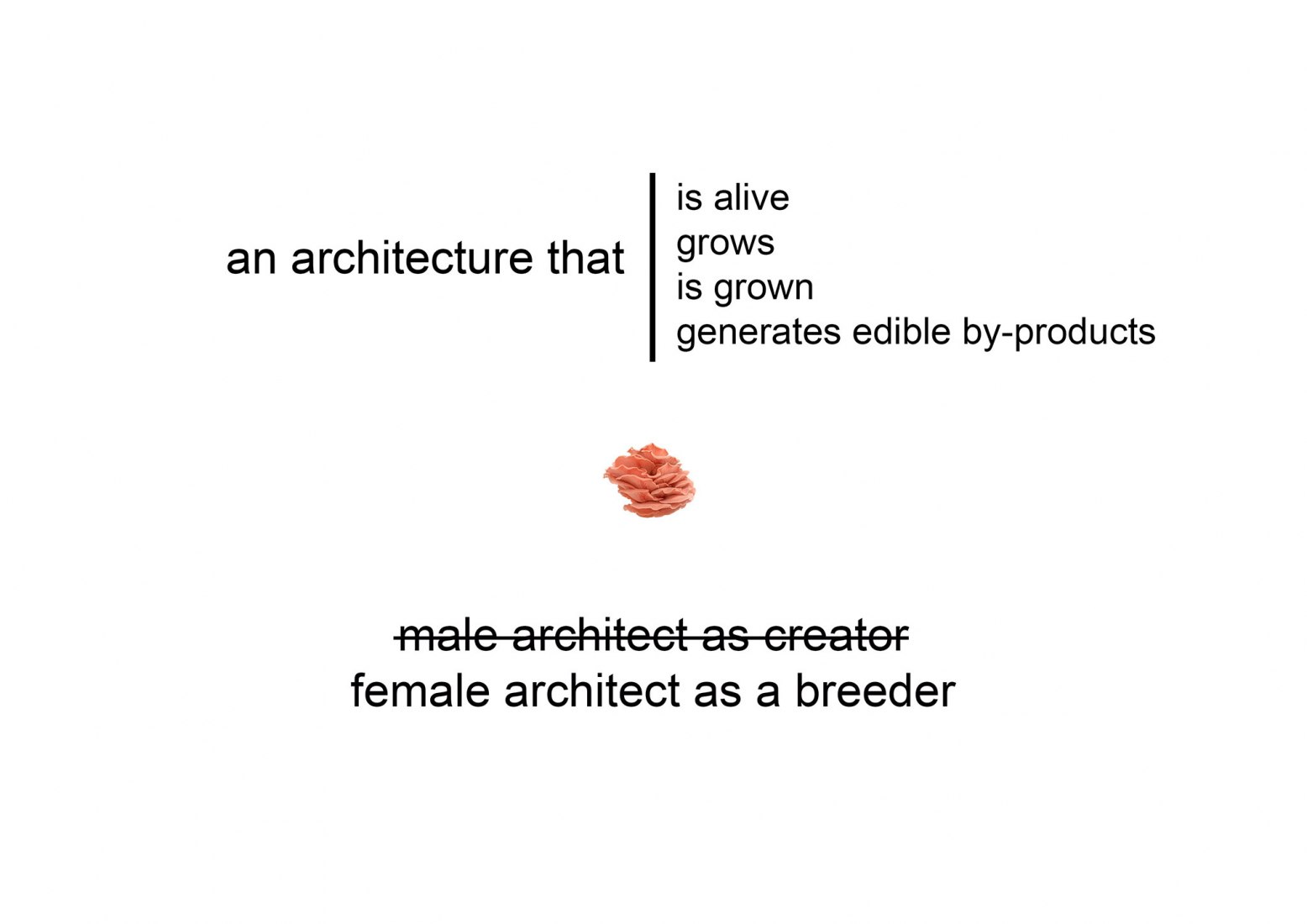 Breeding Space by María Mallo.