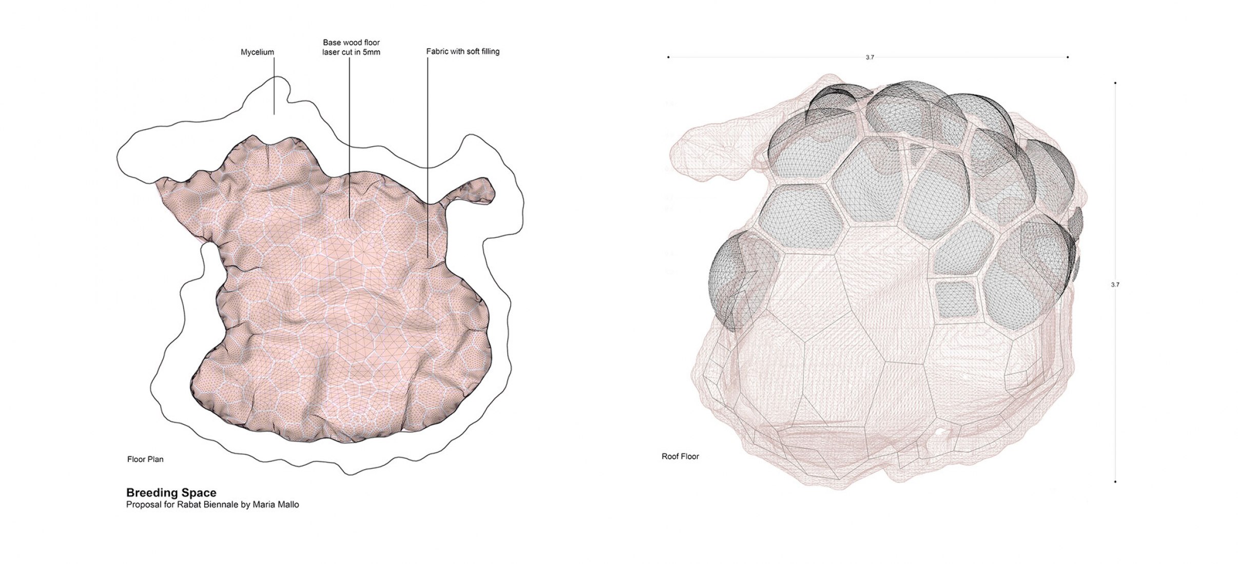 Floor plan and Roof plan. Breeding Space by María Mallo.