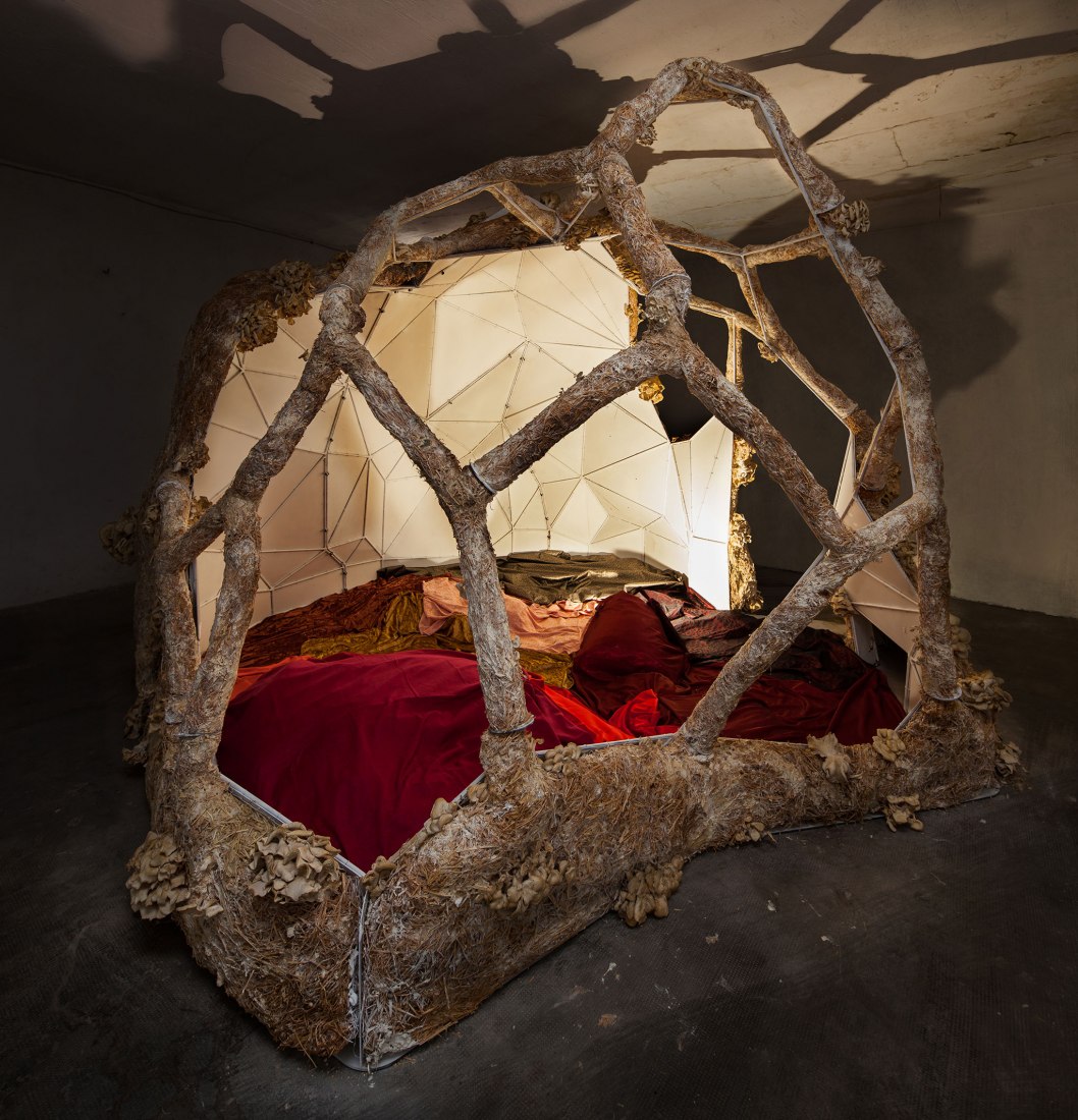 Breeding Space by María Mallo. Photograph by Victor Lavilla