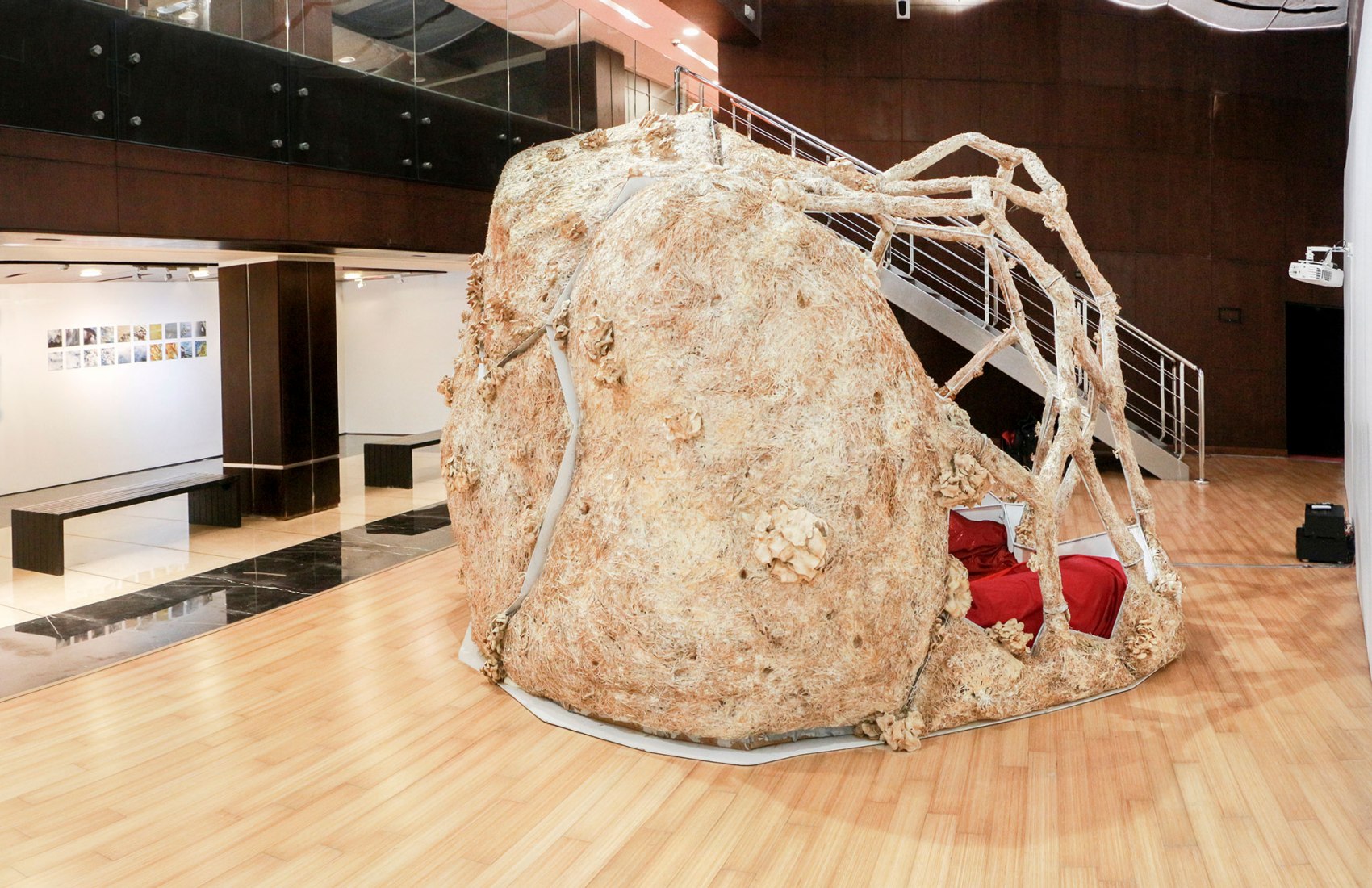 Breeding Space by María Mallo. Photograph by Wladimir Pulpa