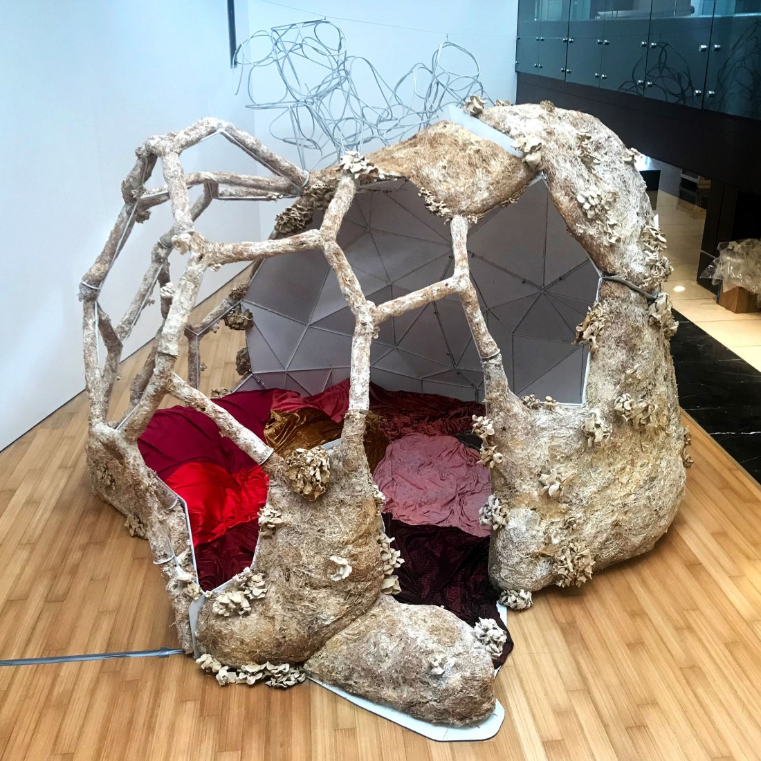 Breeding Space by María Mallo. Photograph by Nacho A. Monteserín