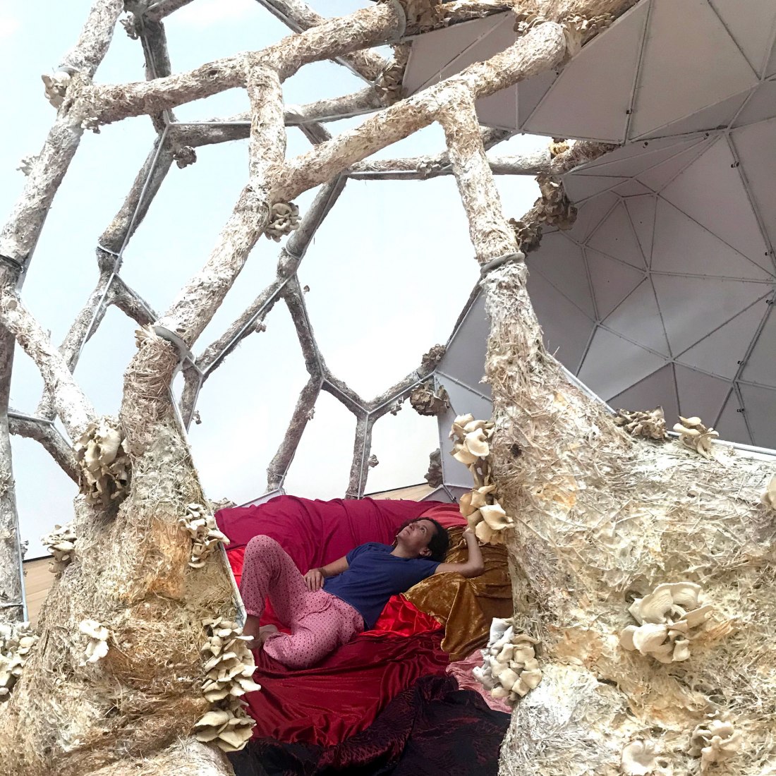 Breeding Space by María Mallo. Photograph by Nacho A. Monteserín