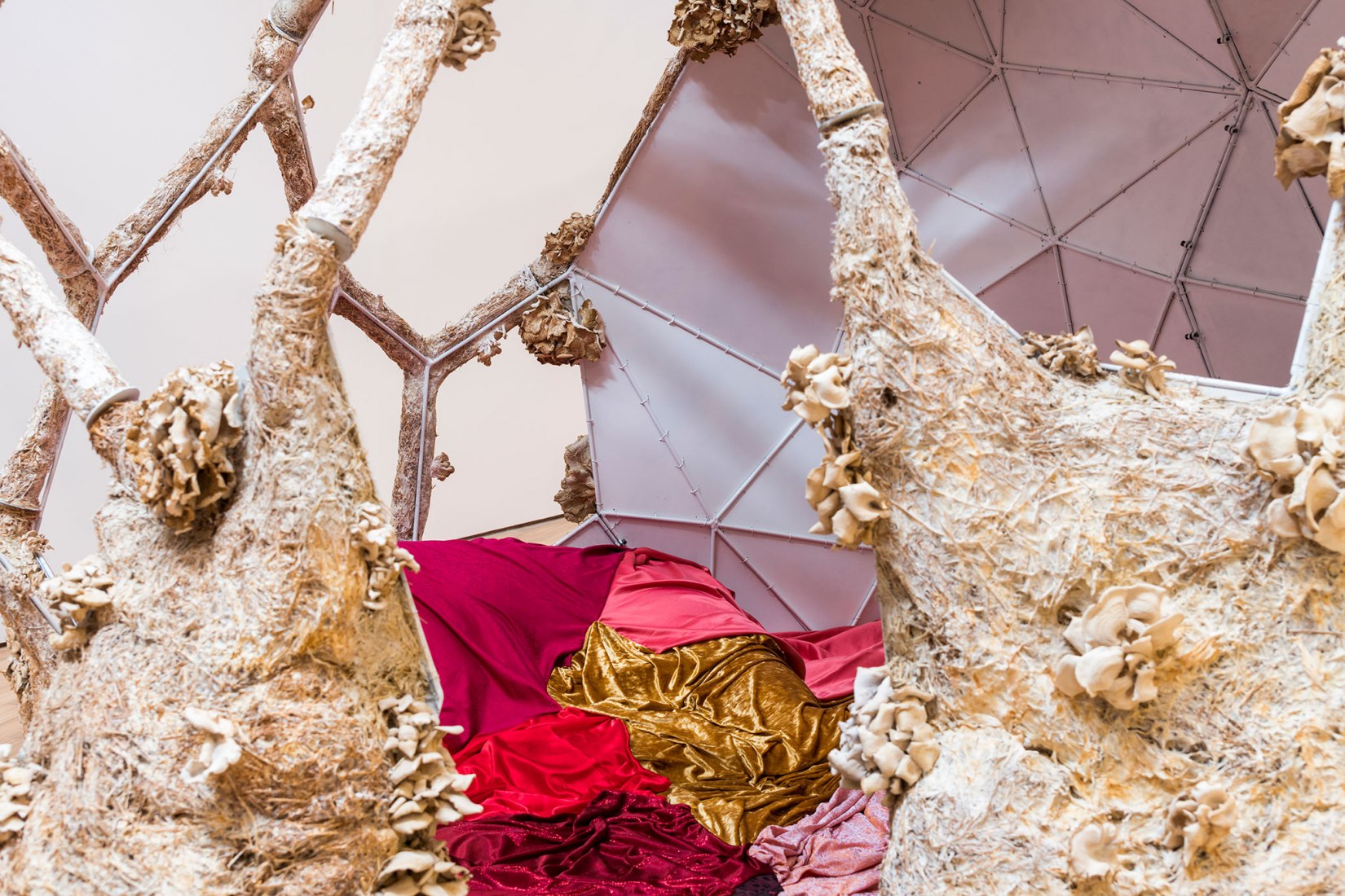 Breeding Space by María Mallo. Photograph courtesy María Mallo 