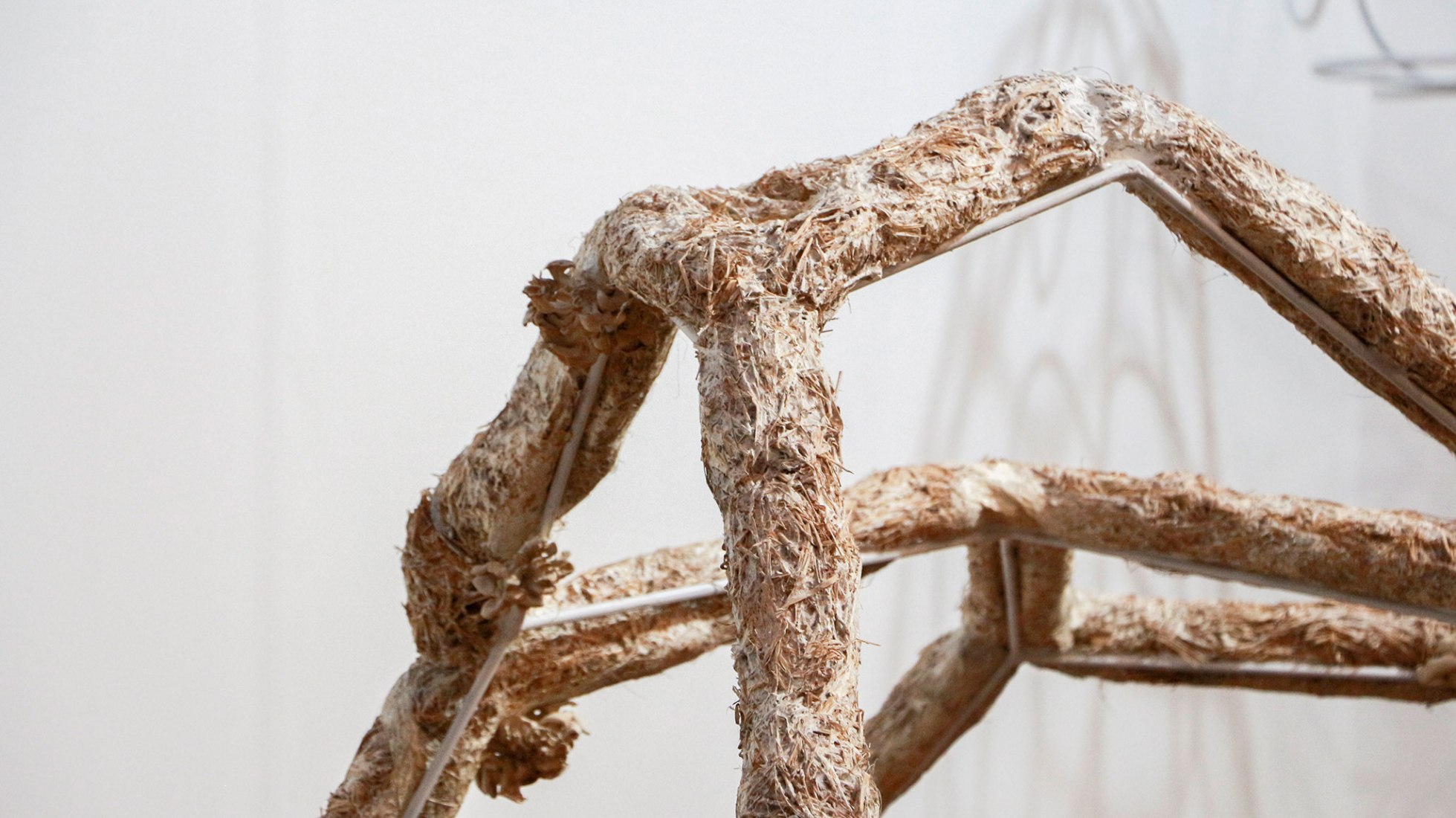 Breeding Space by María Mallo. Photograph by Wladimir Pulpa