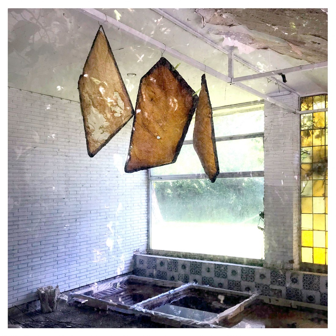 Kombucha. Work in progress. Breeding Space by María Mallo.