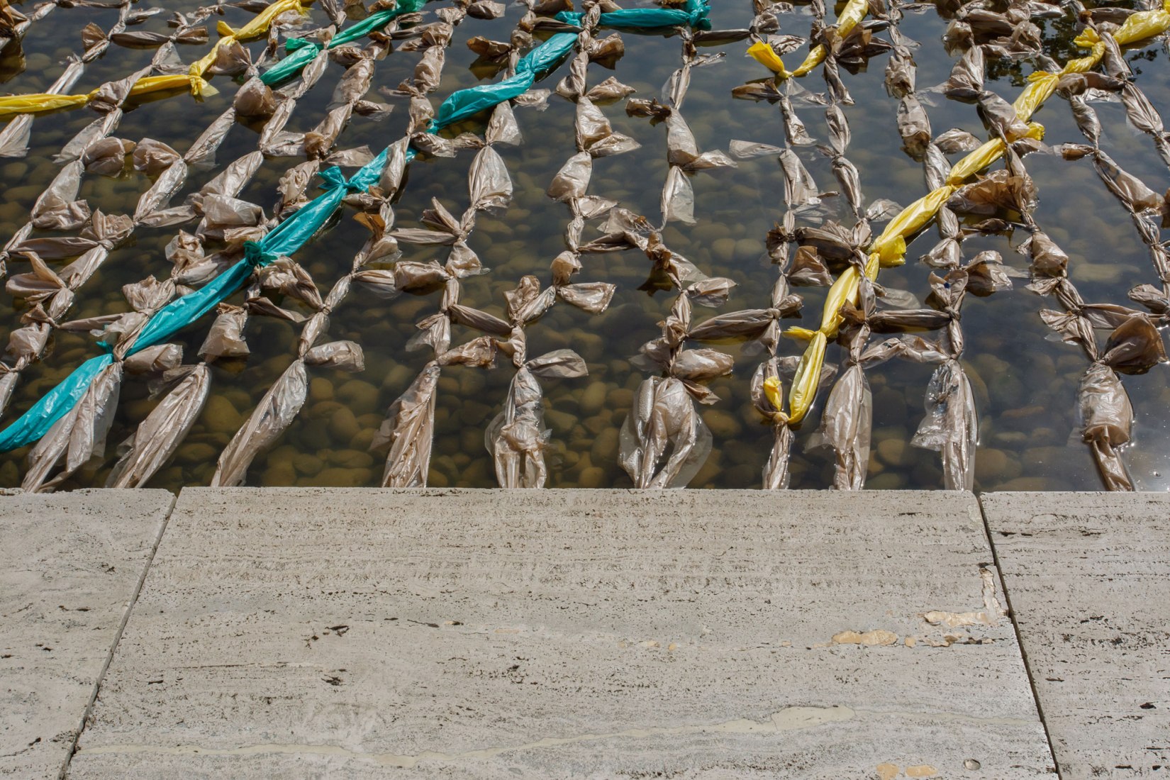The Cost of Money: Raft, Mark Cottle. Photograph by Anna Mas.
