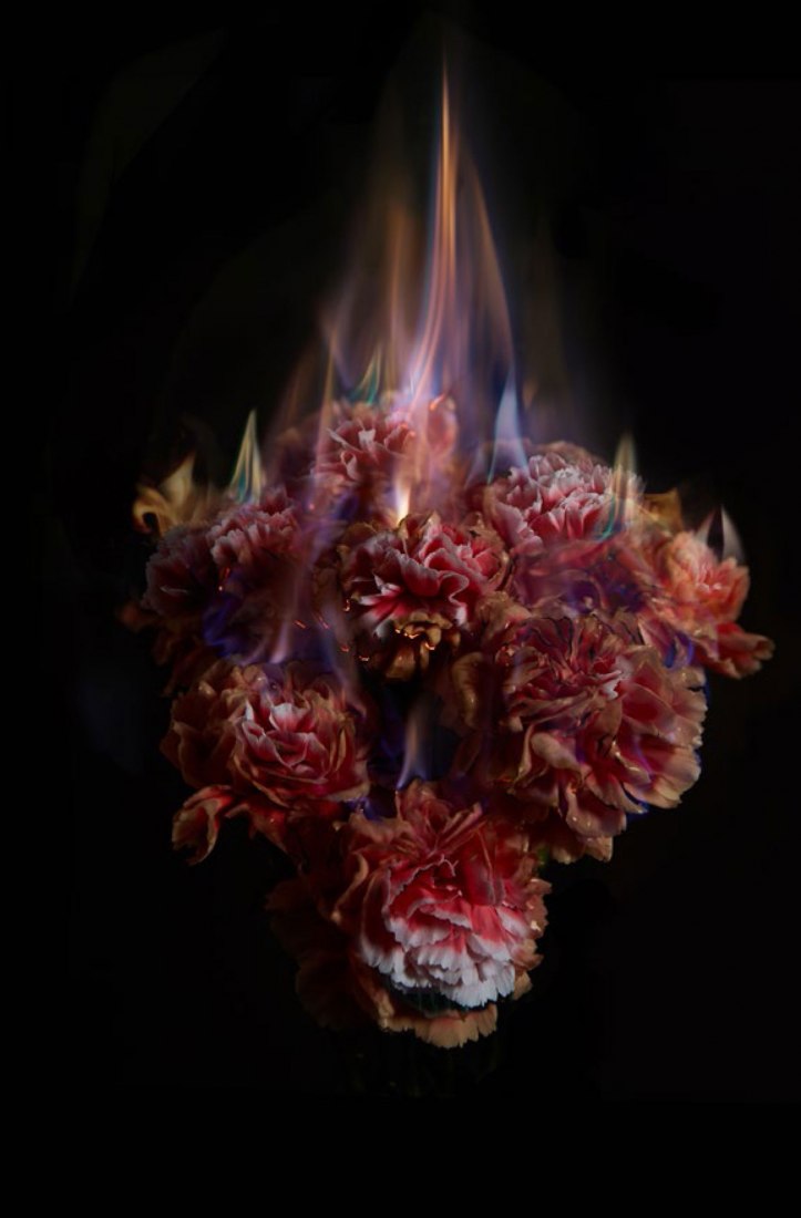 Mat Collishaw, Fading Memories of the sun. 2011. Photograph Trevor Good. Image courtesy of the artist and BlainSouthern.