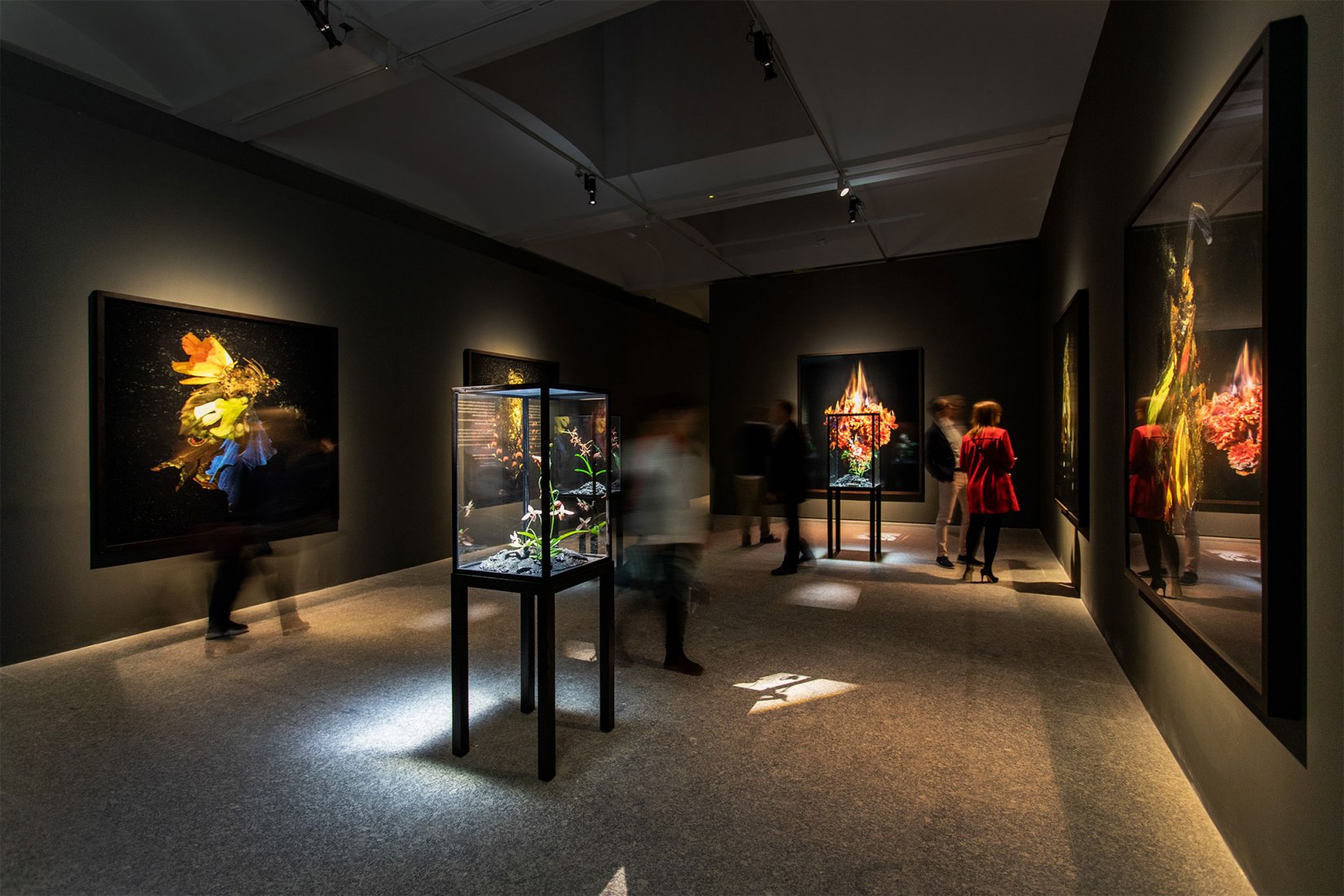 Sala de exposición. Dialogues por Mat Collishaw, 2019. Imagen de cortesía por Fundació Sorigué. 