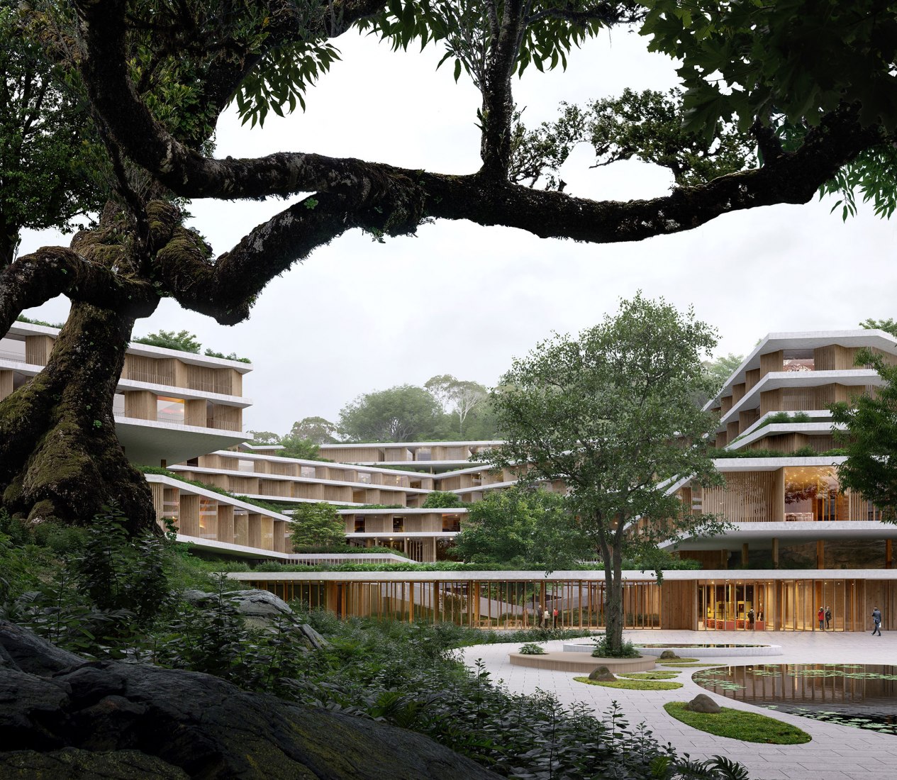 Valle Científico de Shenzhen Guangming Mecanoo, Meng Architects y LOLA Landscape Architects. Visualización por WAX.
