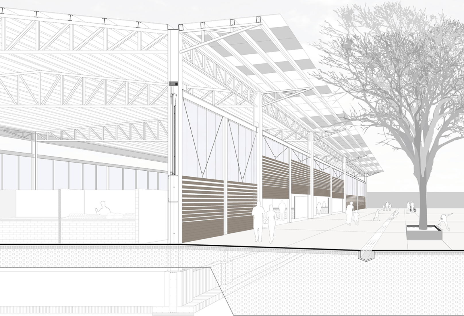 Sección fugada. Rehabilitación del Mercado de la Purísima por Bandada Studio.