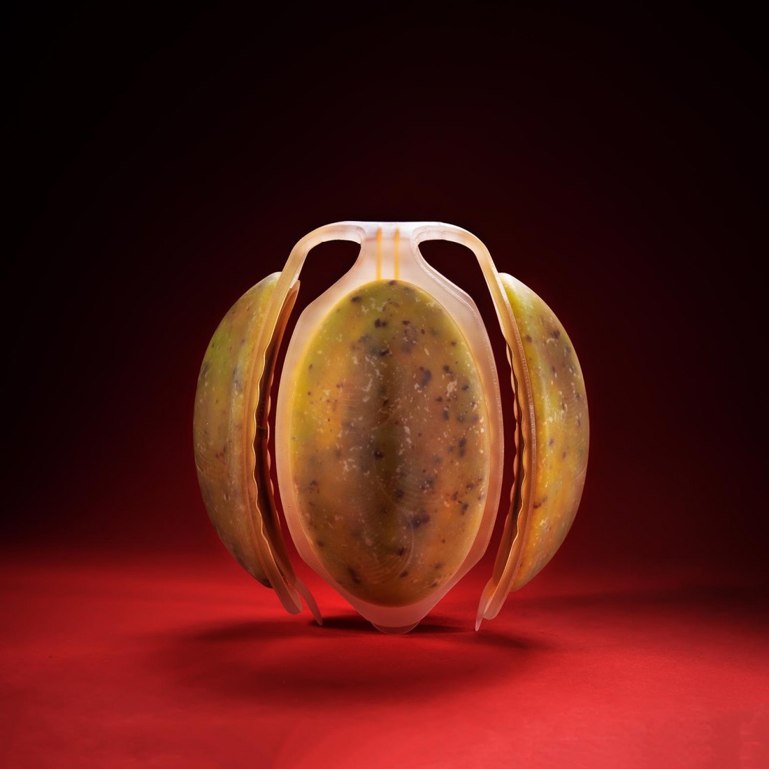 Neo Fruit by Meydan Levy. Photograph by Bogdan Sokol & Shay Maman