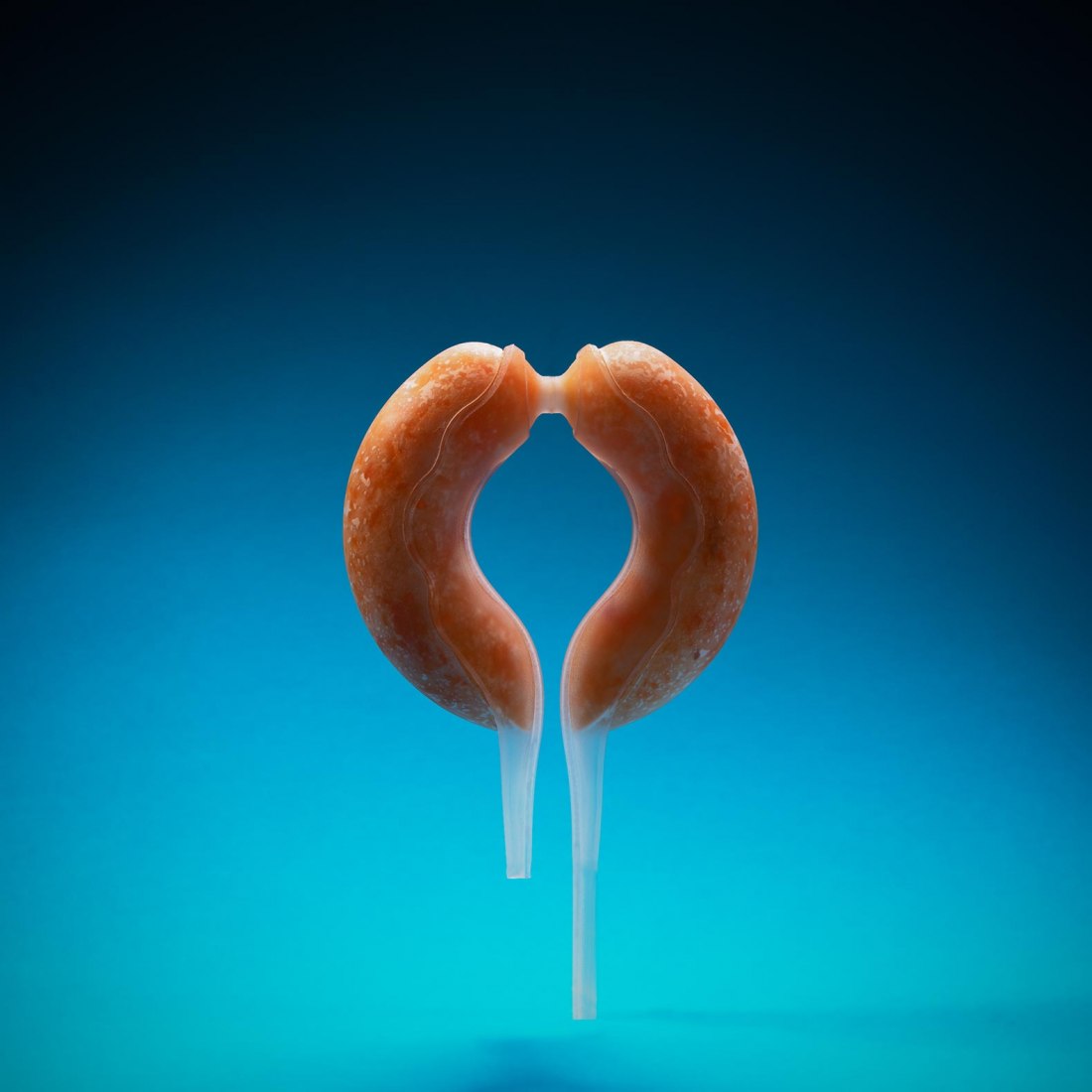 Neo Fruit by Meydan Levy. Photograph by Bogdan Sokol & Shay Maman