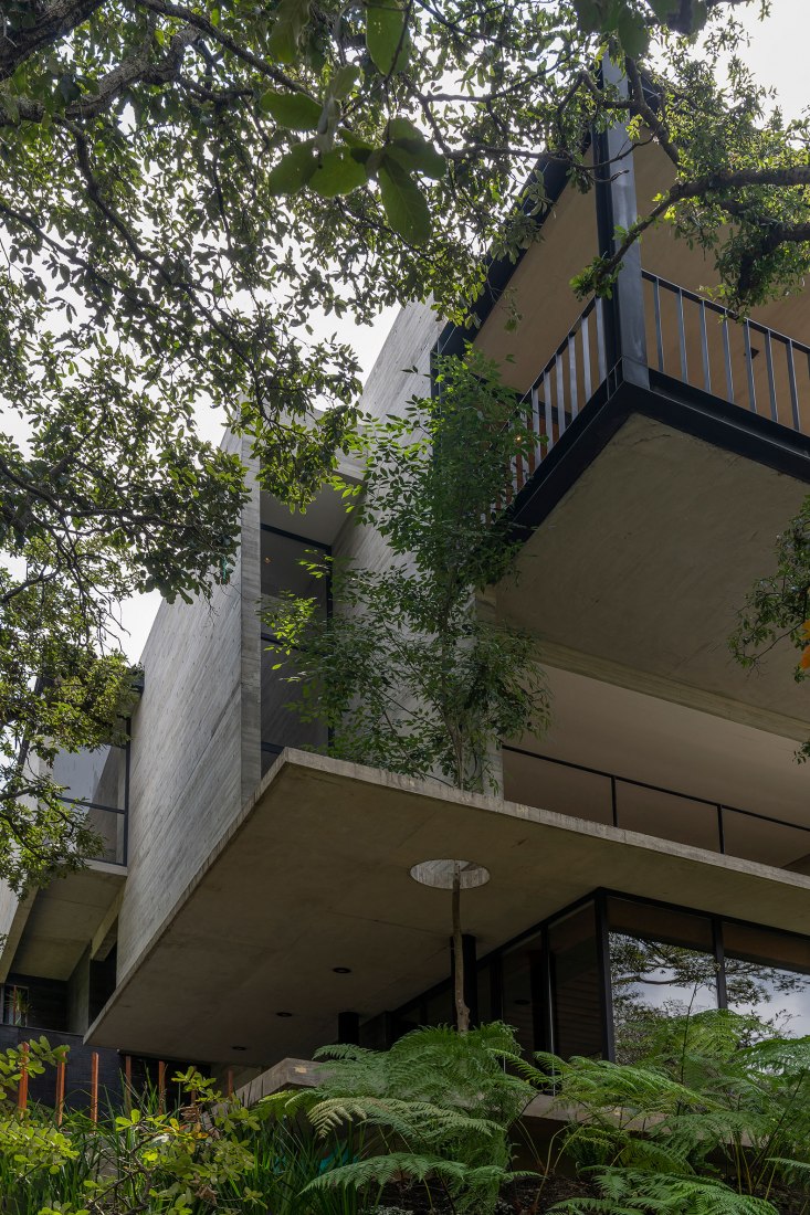 Casa AYG por Miguel de la Torre. Fotografía por Jaime Navarro.