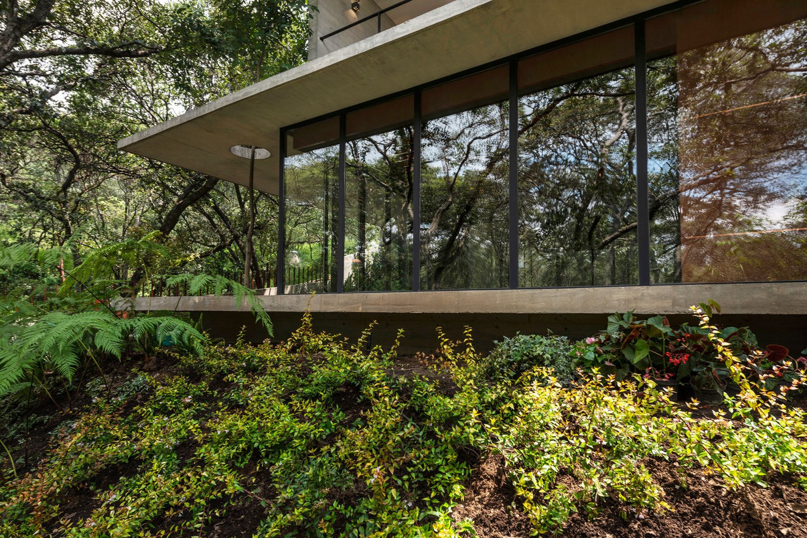 Casa AYG por Miguel de la Torre. Fotografía por Jaime Navarro.