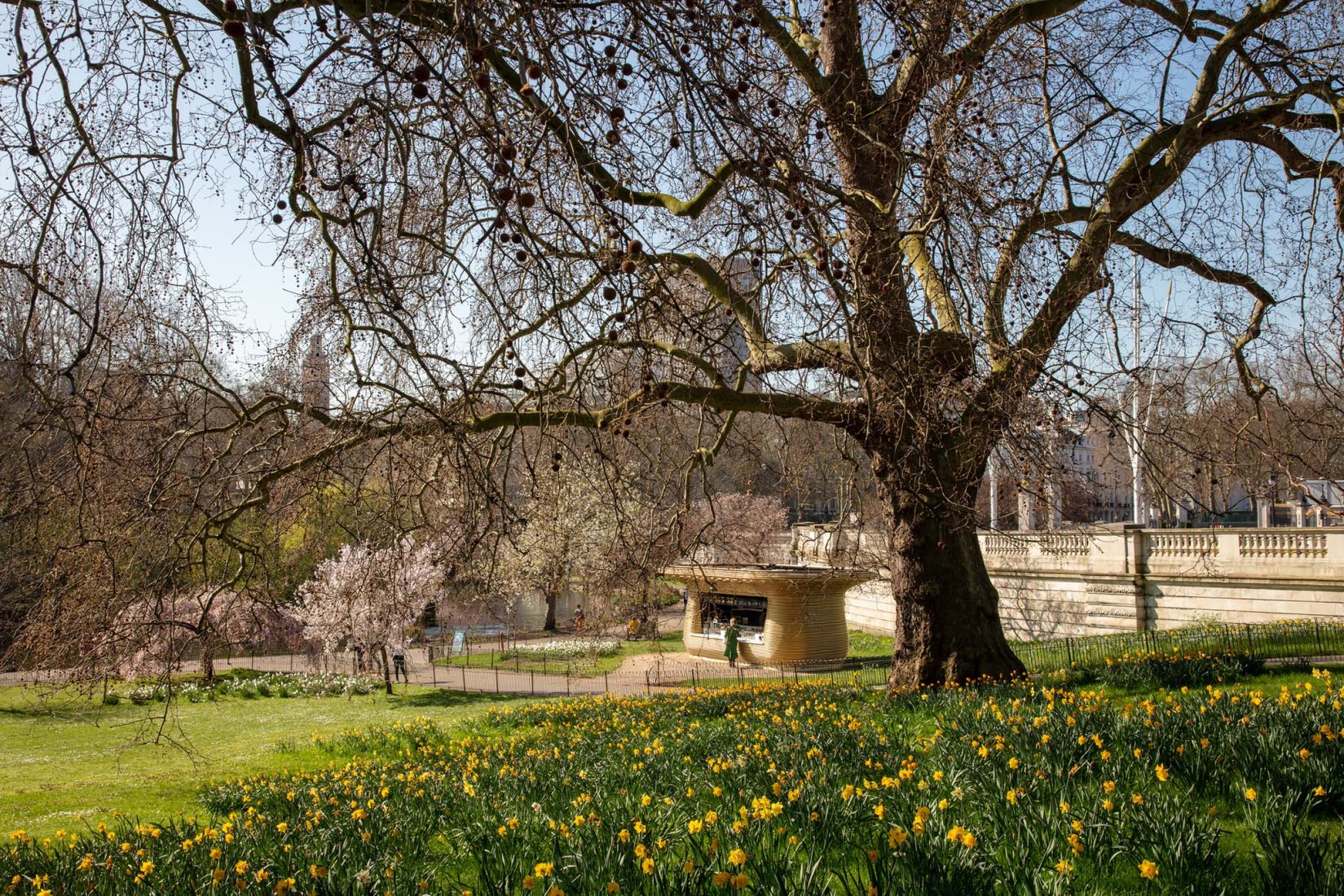 The Royal Parks Kiosks. Royal Parks Fleet by Mizzi Studio. Photograph by Luke Hayes.