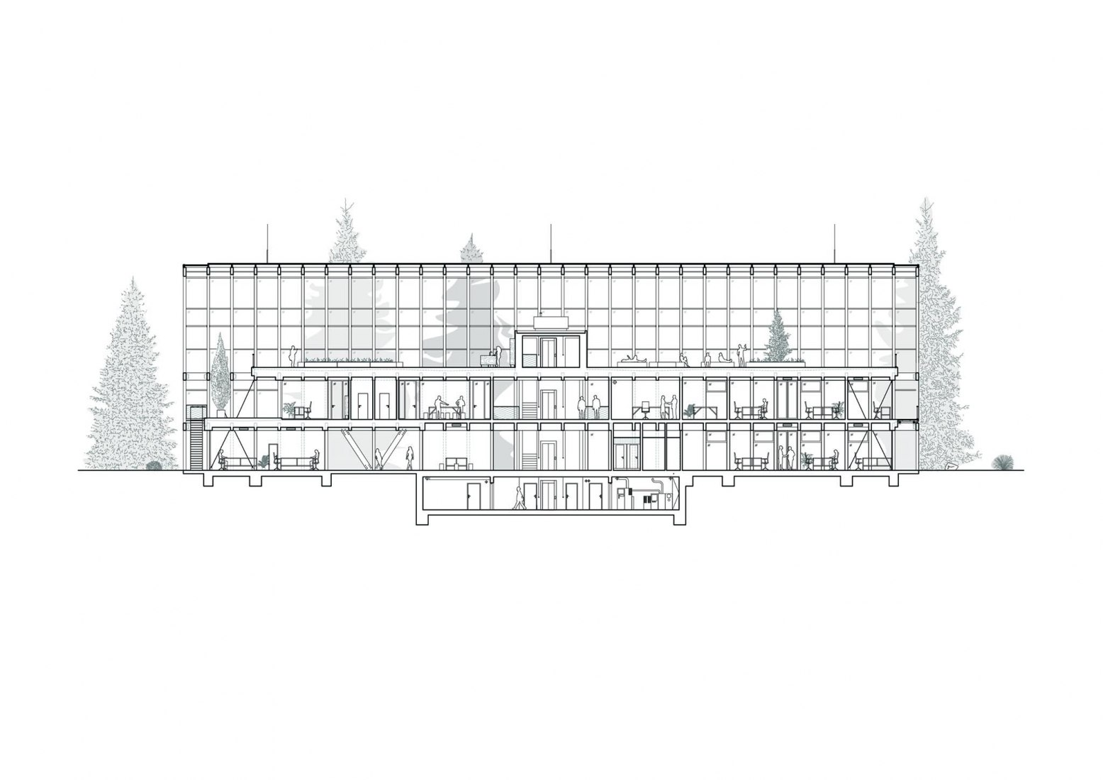 Section. Kloboucká lesní Headquarters by Mjölk architekti.