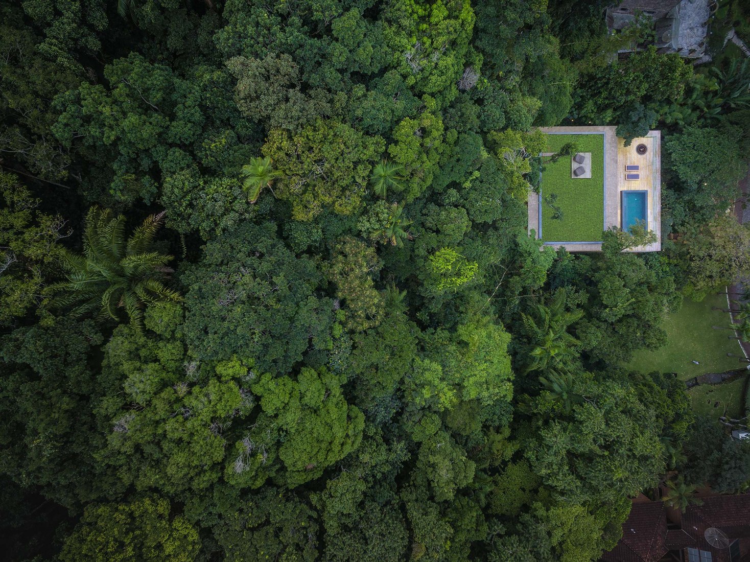 Vista general. La Casa de la Jungla por Studio mk27. Guarujá, Brasil. Fotografía © Fernando Guerra.