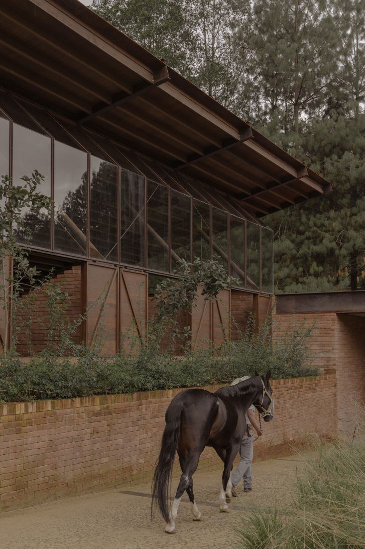 Equestrian San Ramón by Modica Ledezma. Photograph by Zaickz Moz.