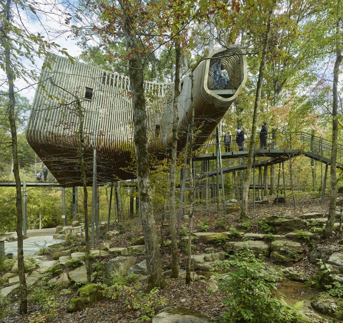 La Casa del Árbol Evans en el Bosque de los Jardines de Garvan por modus studio y la Universidad de Arkansas. Fotografía por Timothy Hursley.