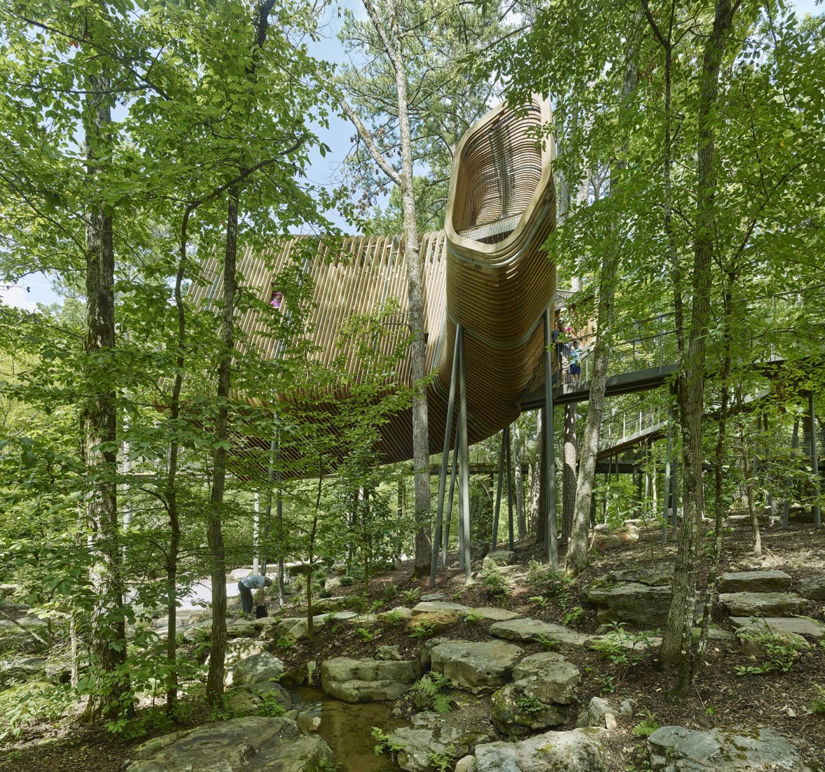 La Casa del Árbol Evans en el Bosque de los Jardines de Garvan por modus studio y la Universidad de Arkansas. Fotografía por Timothy Hursley.