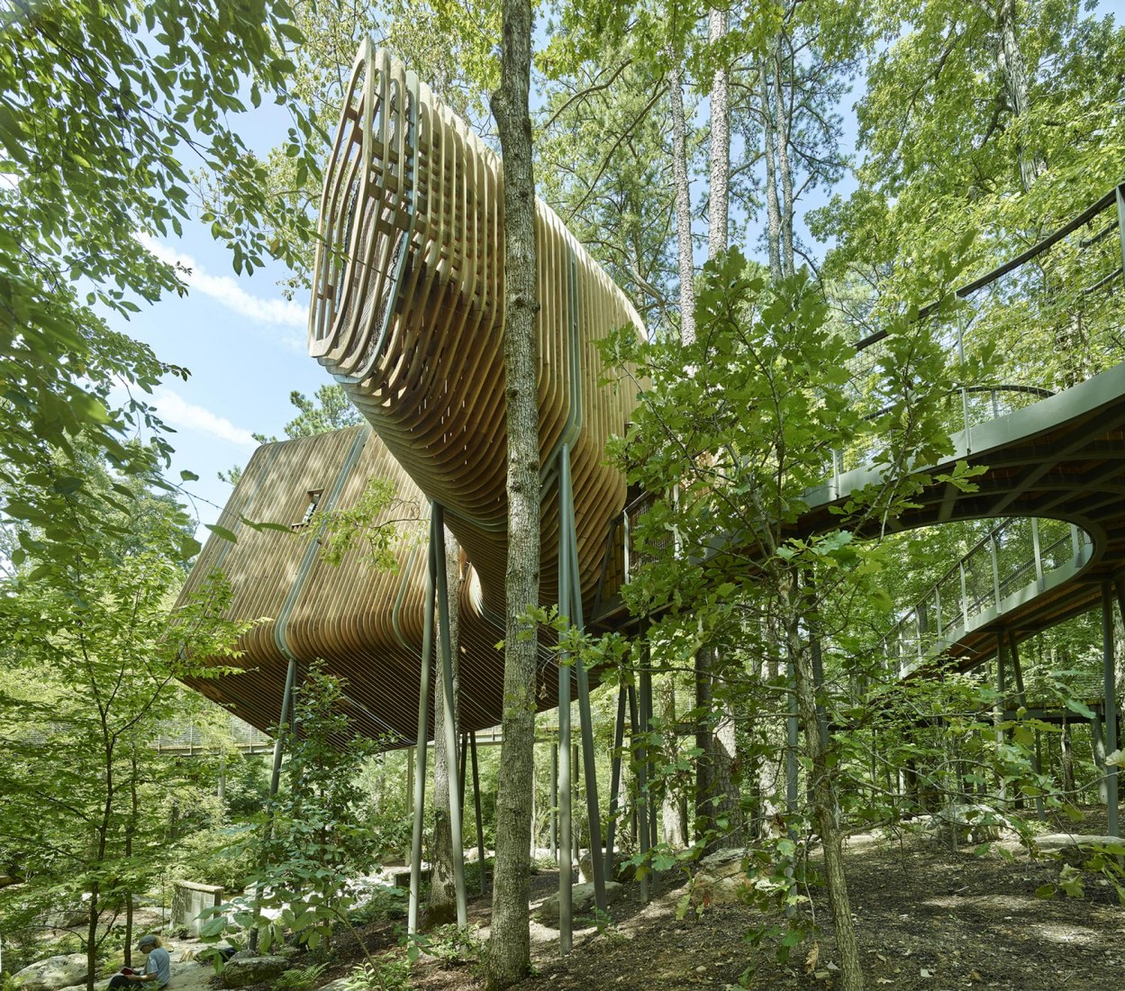 La Casa del Árbol Evans en el Bosque de los Jardines de Garvan por modus studio y la Universidad de Arkansas. Fotografía por Timothy Hursley.