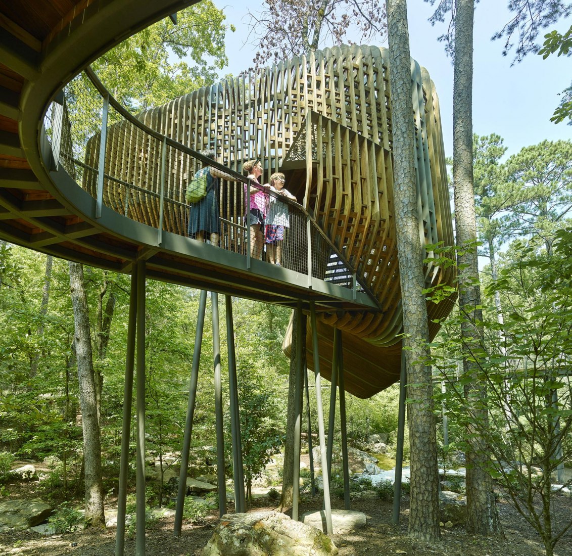 La Casa del Árbol Evans en el Bosque de los Jardines de Garvan por modus studio y la Universidad de Arkansas. Fotografía por Timothy Hursley.
