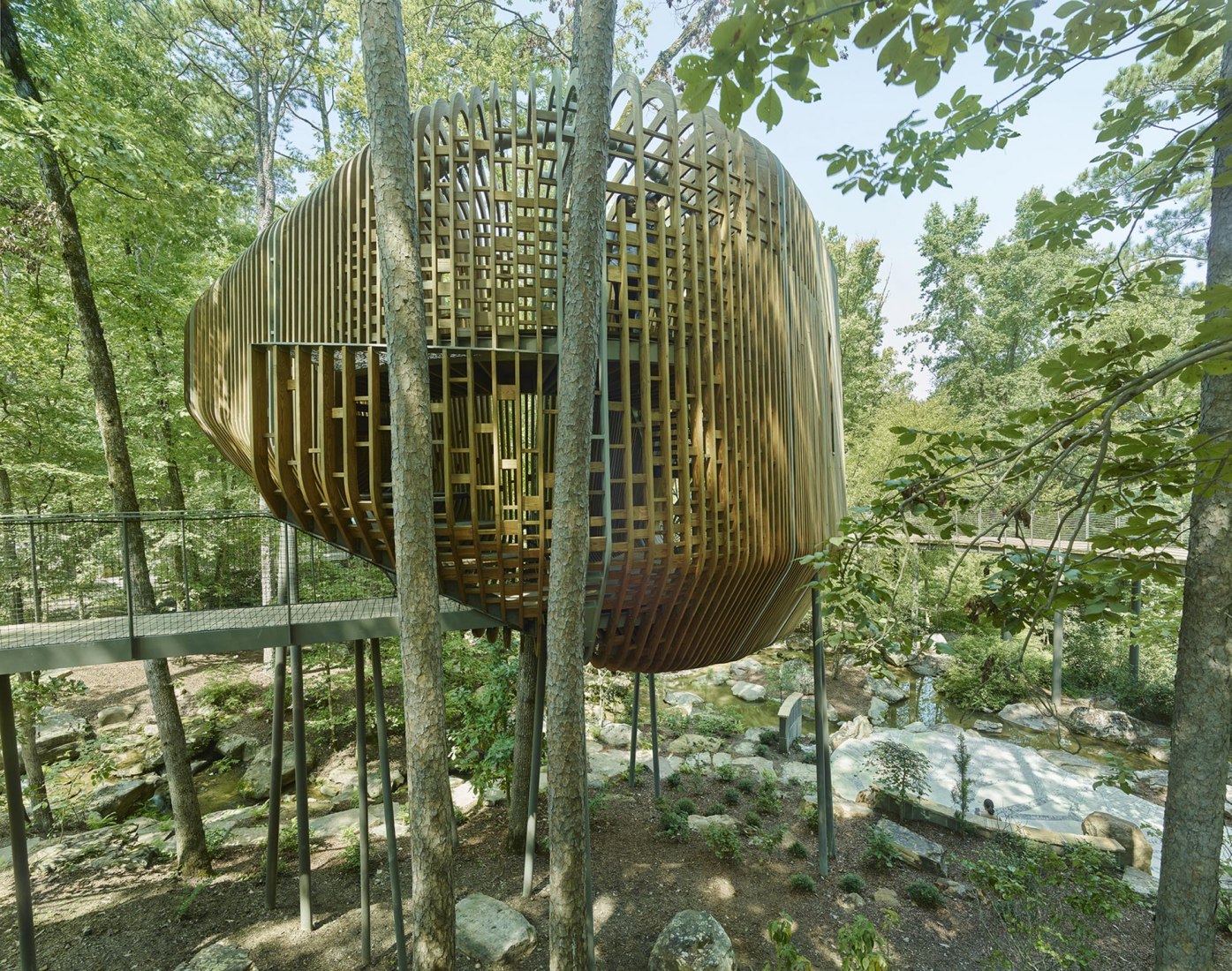 La Casa del Árbol Evans en el Bosque de los Jardines de Garvan por modus studio y la Universidad de Arkansas. Fotografía por Timothy Hursley.