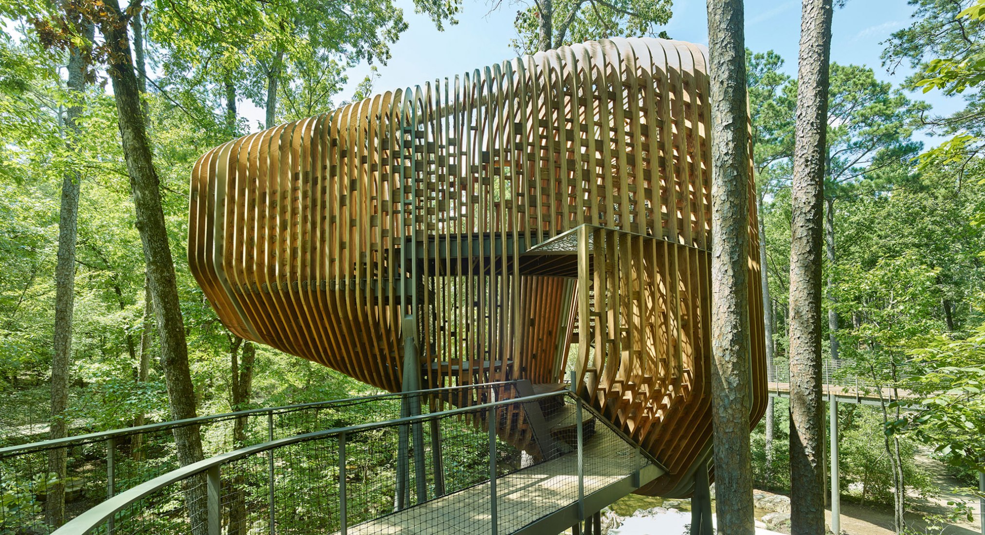 La Casa del Árbol Evans en el Bosque de los Jardines de Garvan por modus studio y la Universidad de Arkansas. Fotografía por Timothy Hursley.