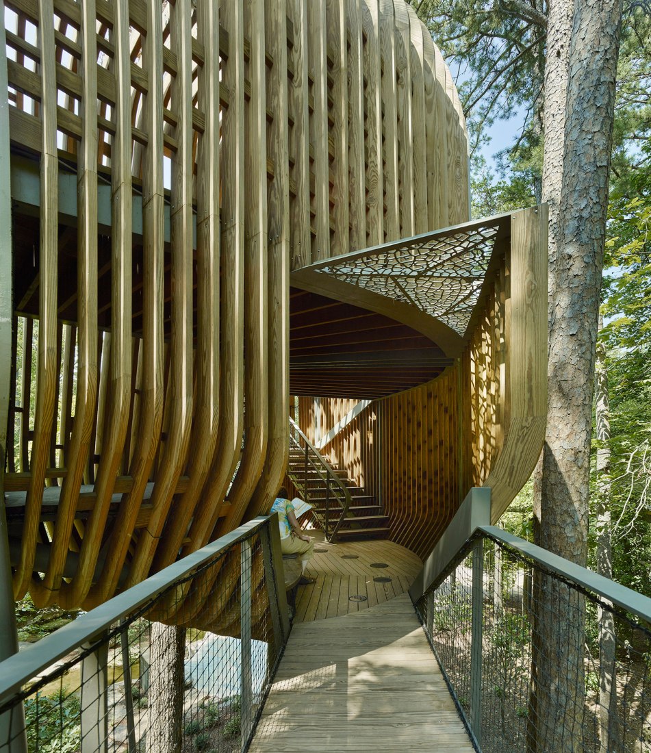 La Casa del Árbol Evans en el Bosque de los Jardines de Garvan por modus studio y la Universidad de Arkansas. Fotografía por Timothy Hursley.