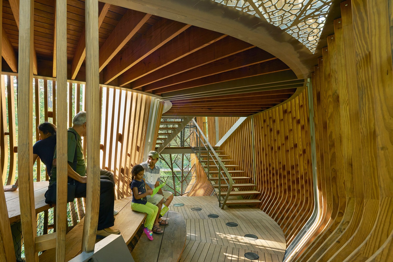 La Casa del Árbol Evans en el Bosque de los Jardines de Garvan por modus studio y la Universidad de Arkansas. Fotografía por Timothy Hursley.